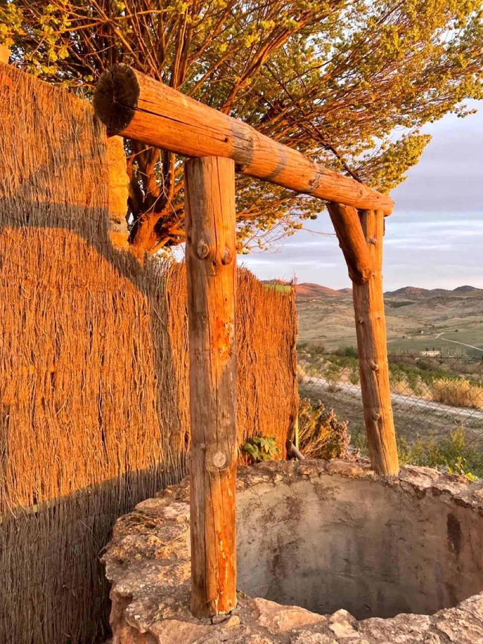 Decorative detail in Cuevas El Atochal Orígenes