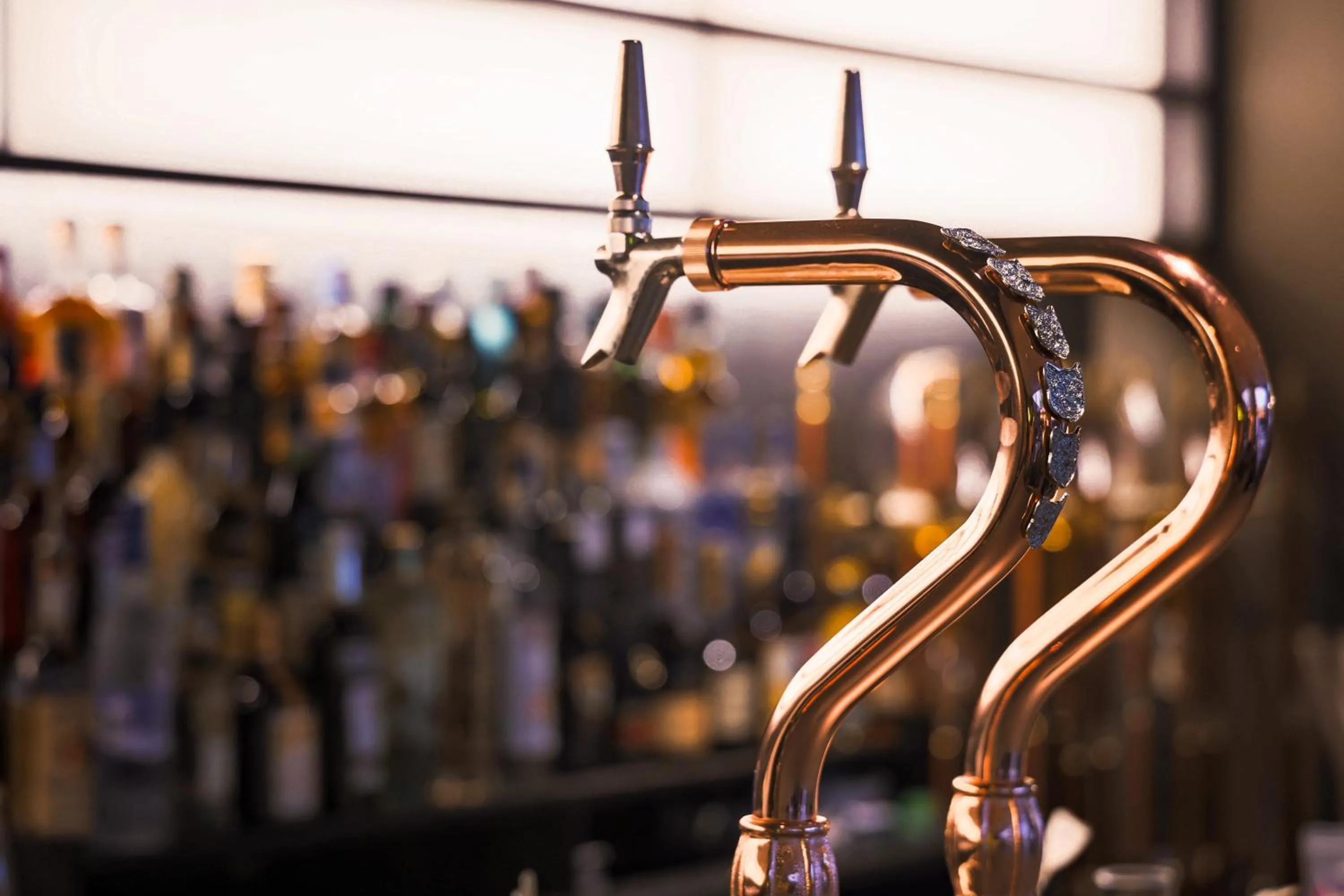 Lounge or bar in KABIN Kyoto