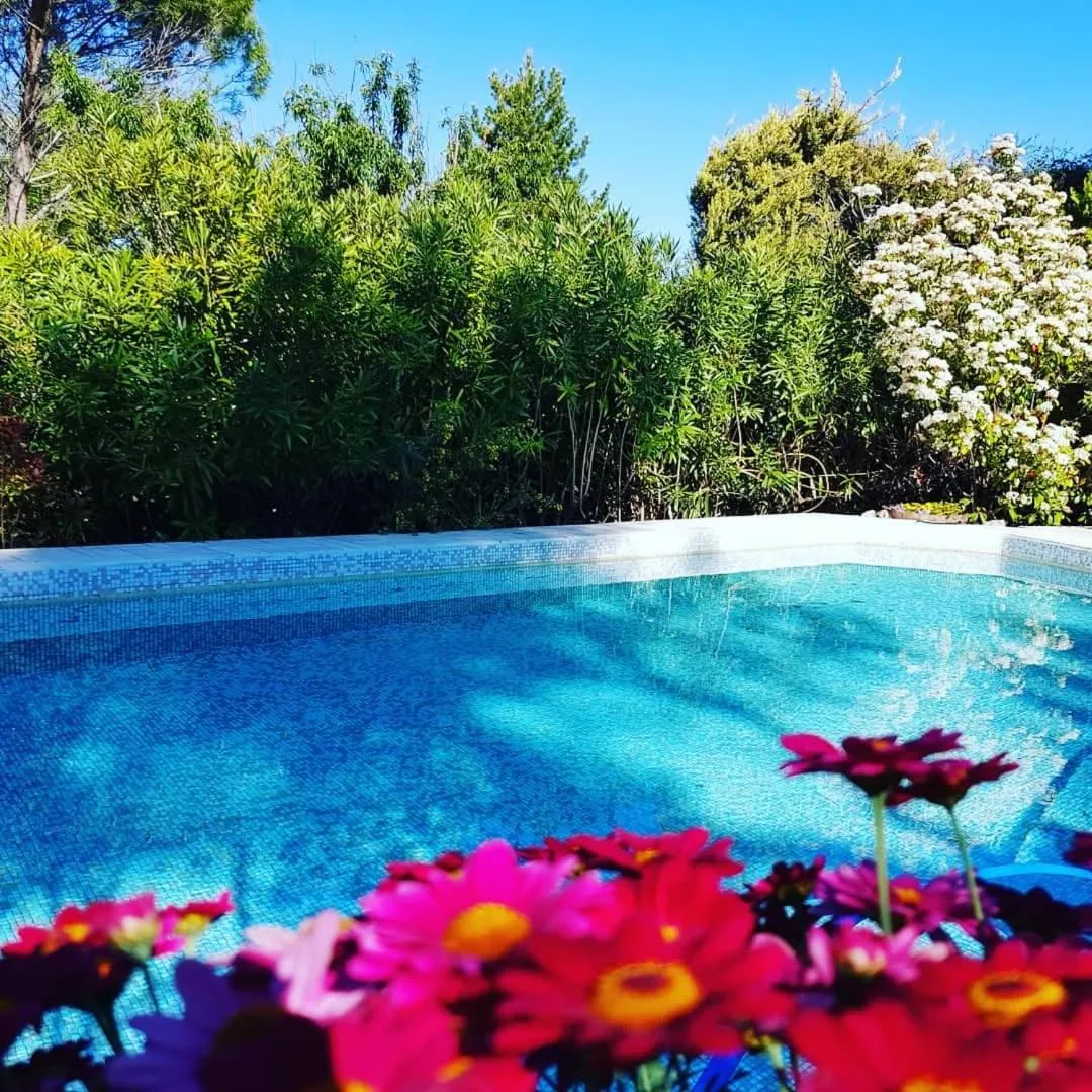 Swimming pool in A l'Orée du Pin
