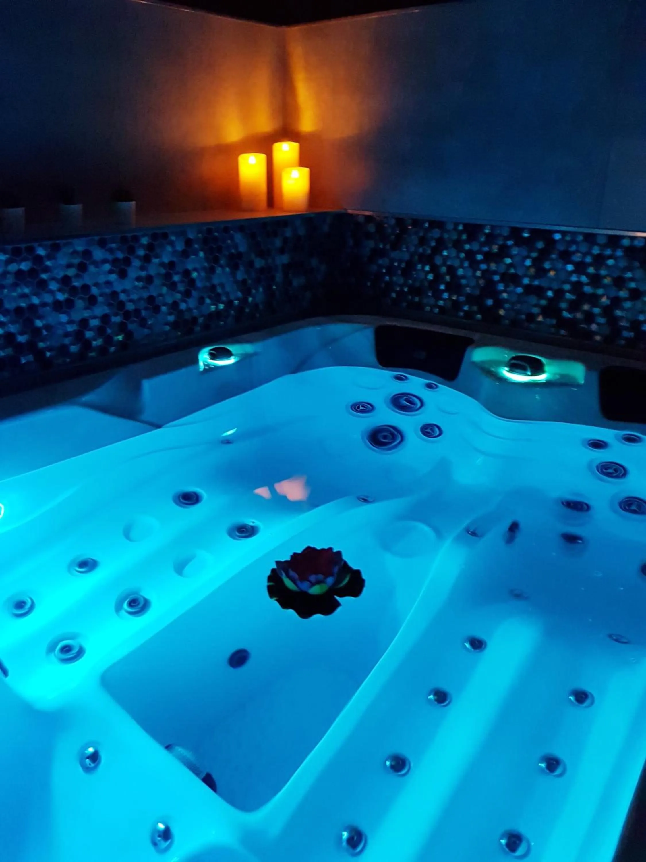 Spa and wellness centre/facilities in A l'Orée du Pin