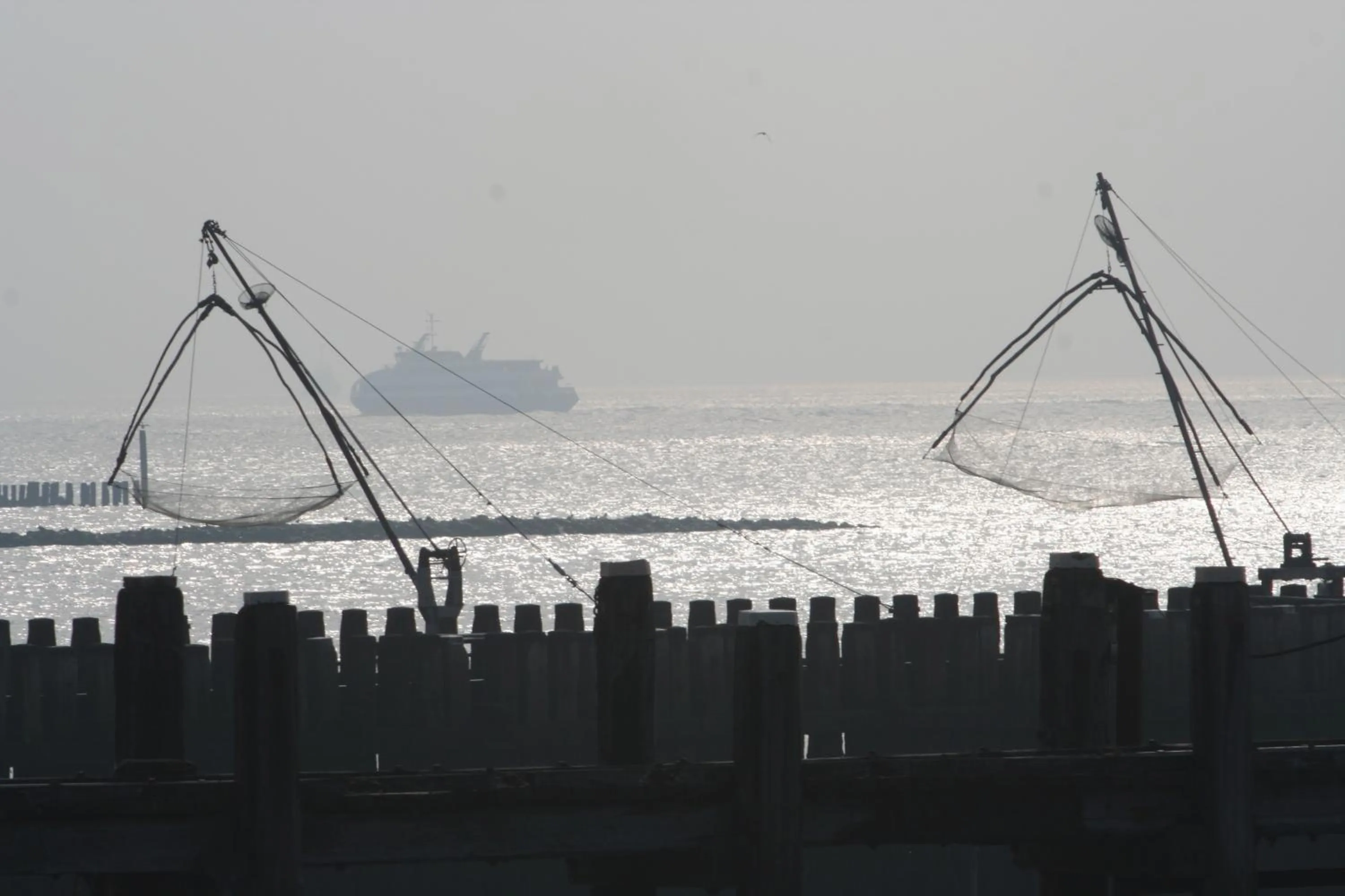 Area and facilities in Hotel Restaurant Piccard