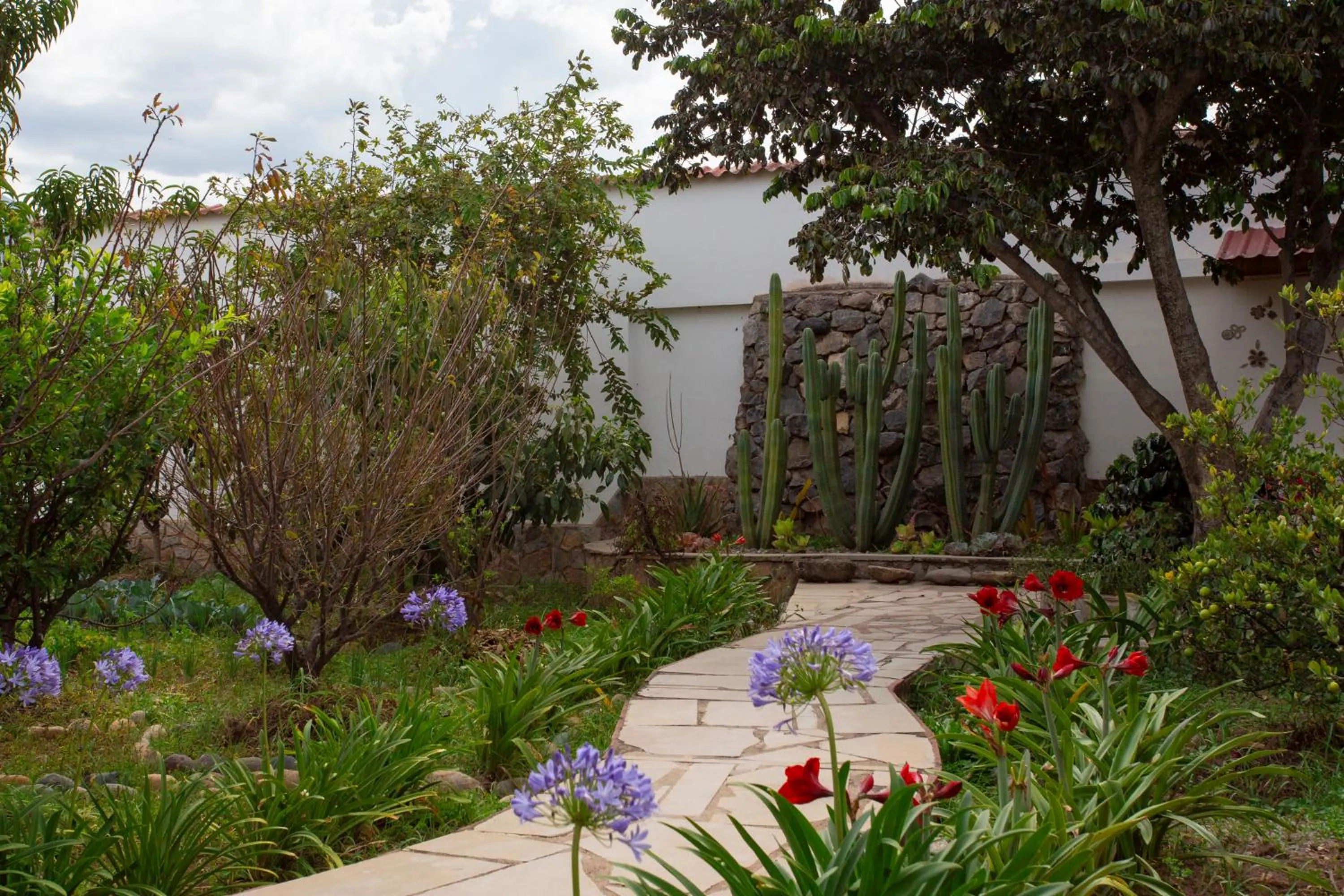Balcony/Terrace in Hotel El Abuelo