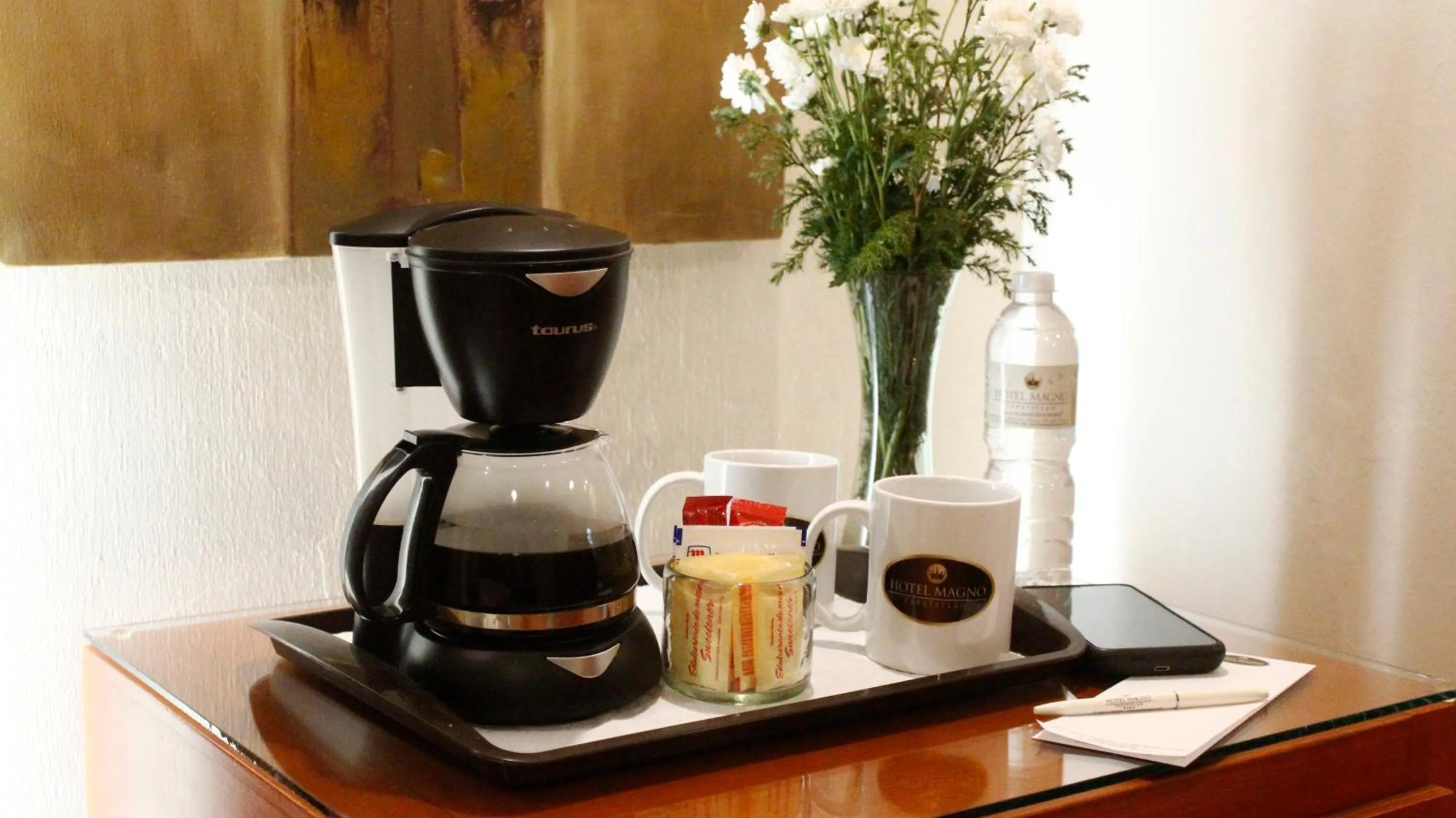 Hotel Magno Tepatitlán