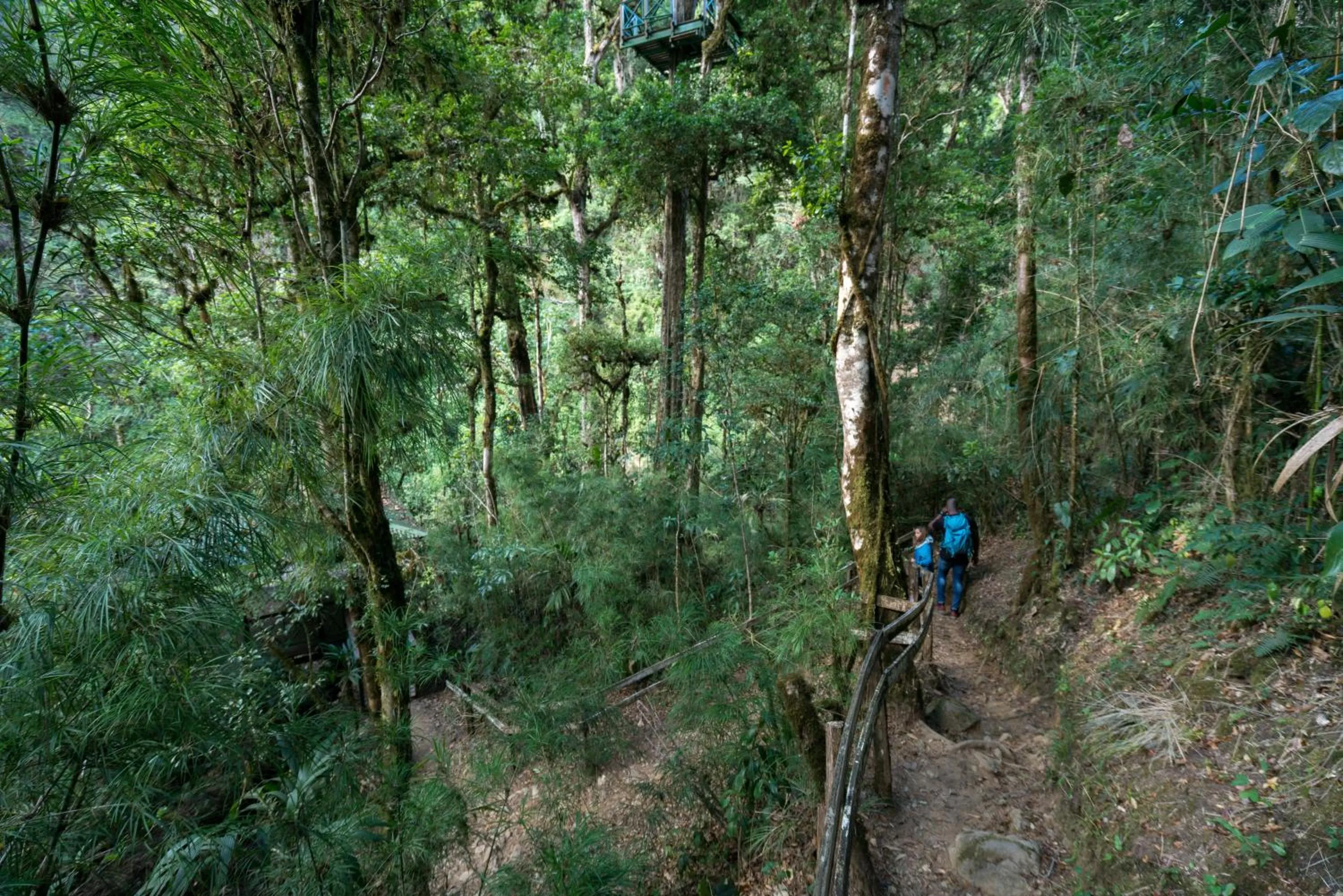 Natural landscape in Trogon Lodge