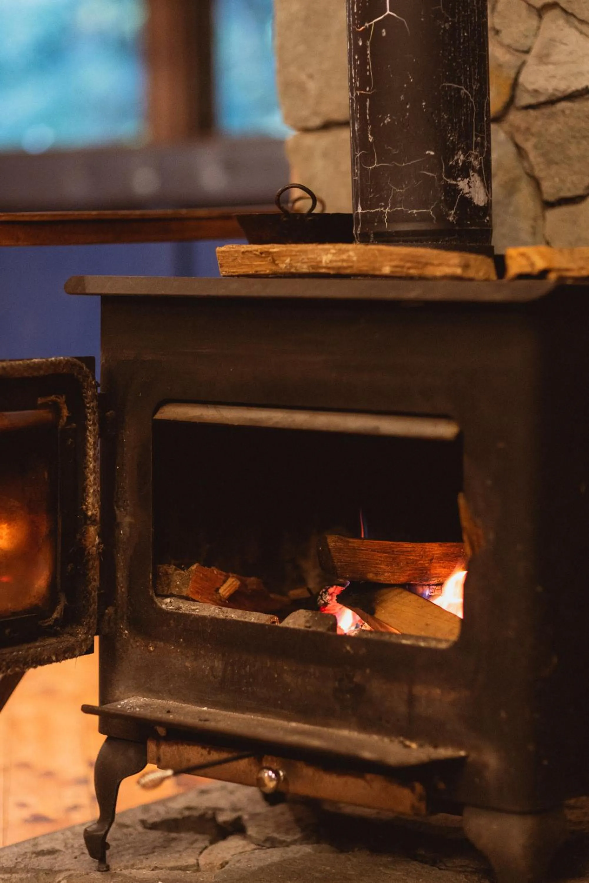 Property building in Trogon Lodge