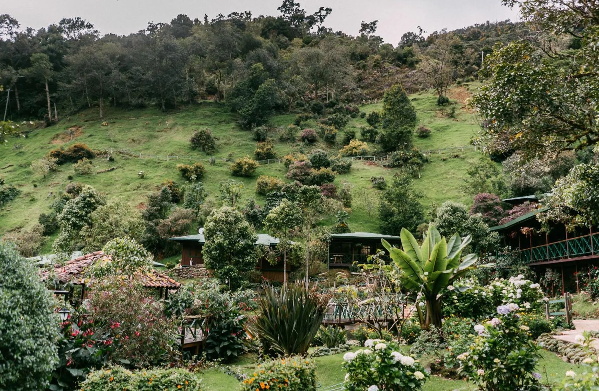 Property building in Trogon Lodge