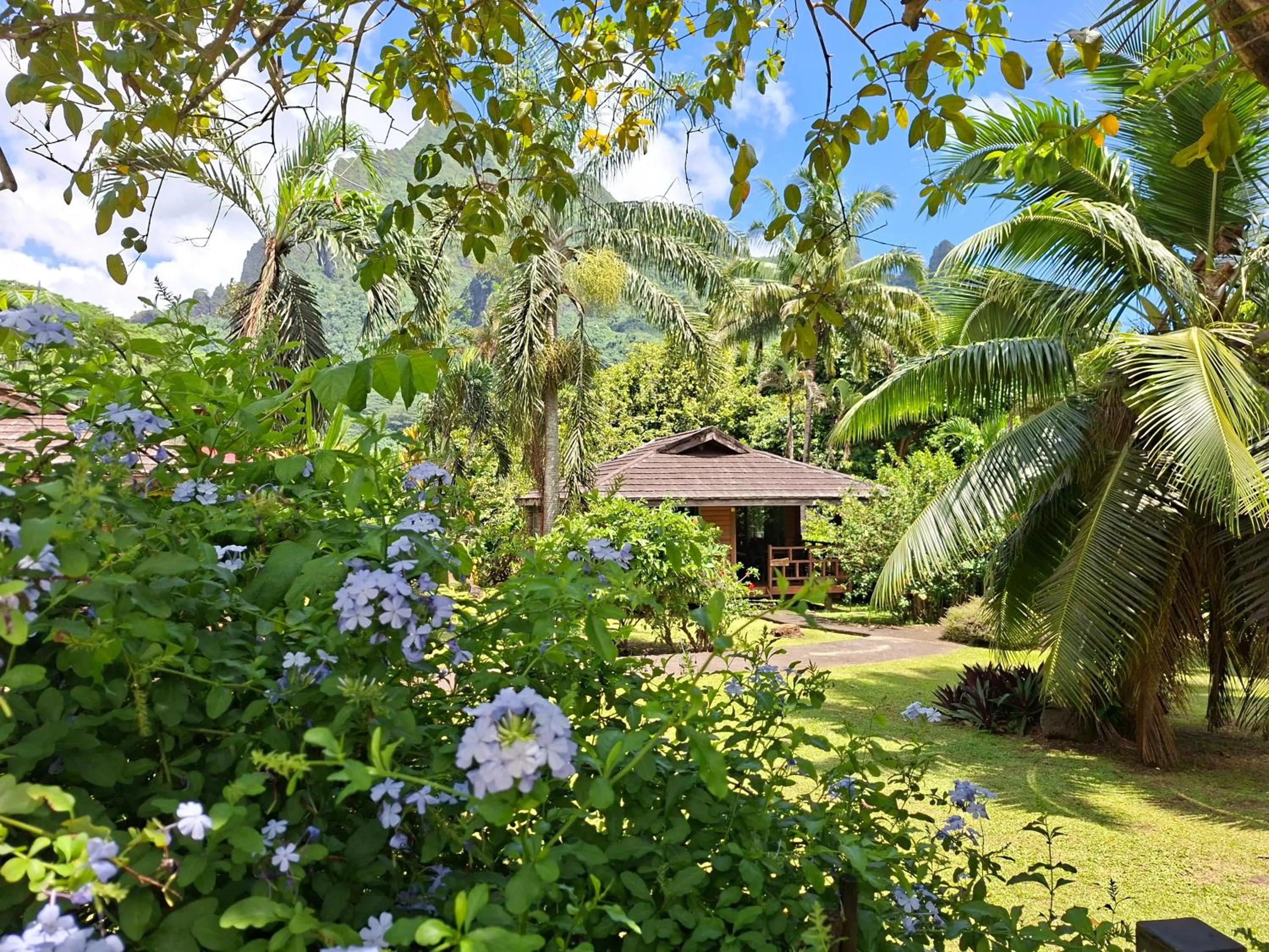 Eco Lodge Village Temanoha