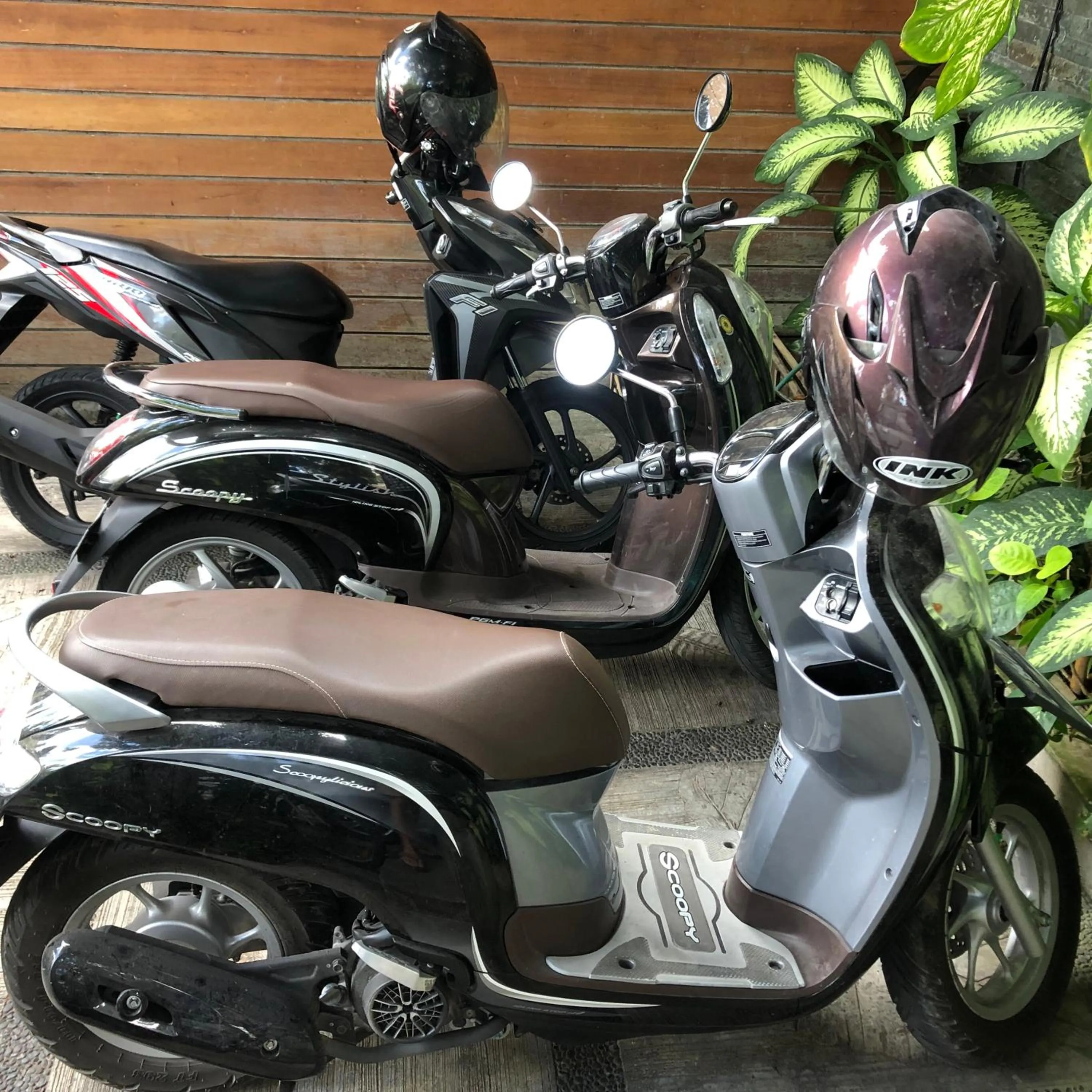 Activities in The Open House Jimbaran Bali