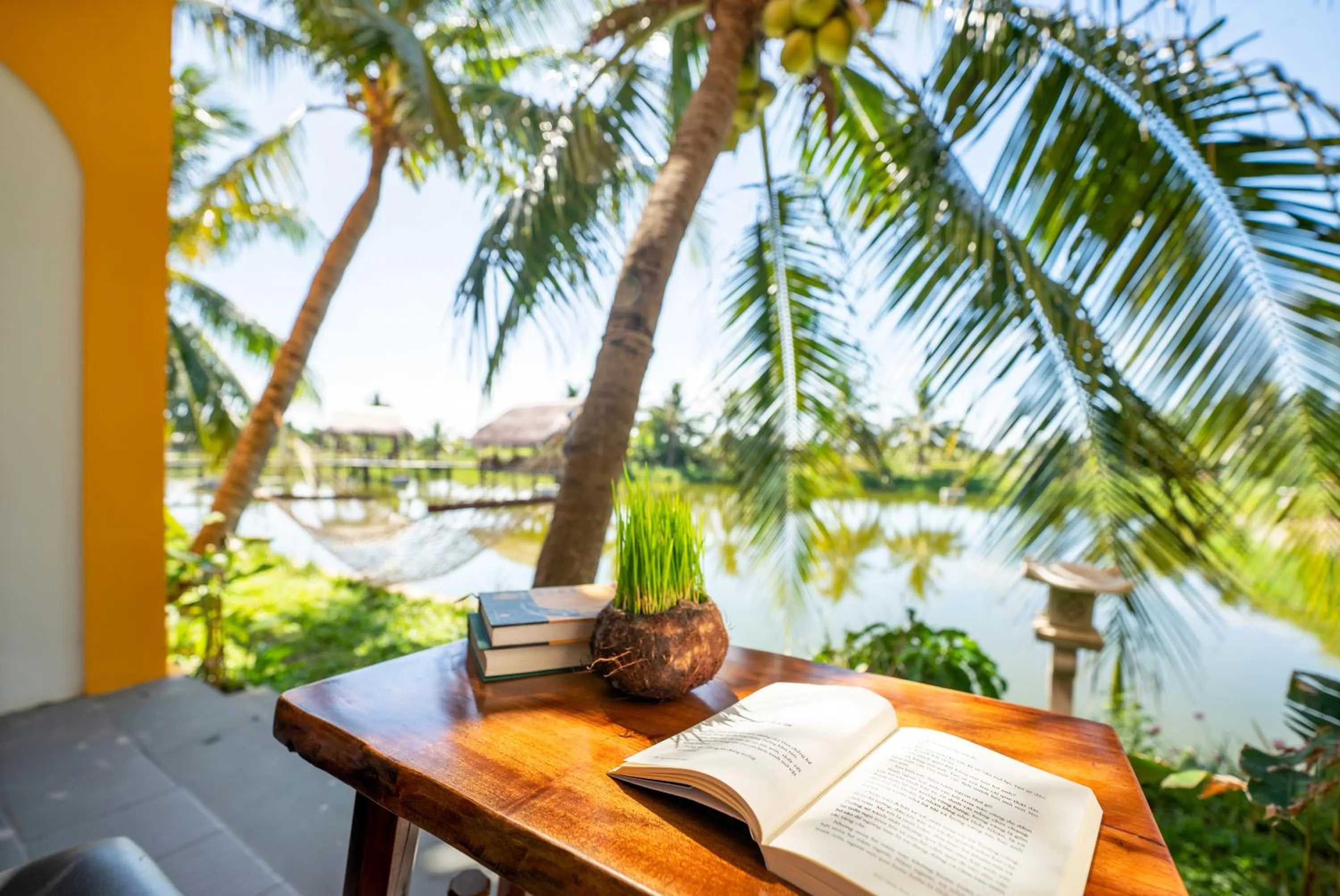 Natural landscape in ZEN RETREAT HOI AN