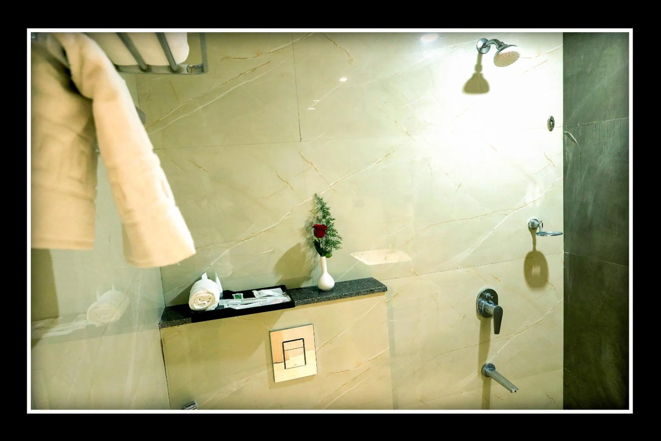 Shower in Sri Sri Sri Excellency