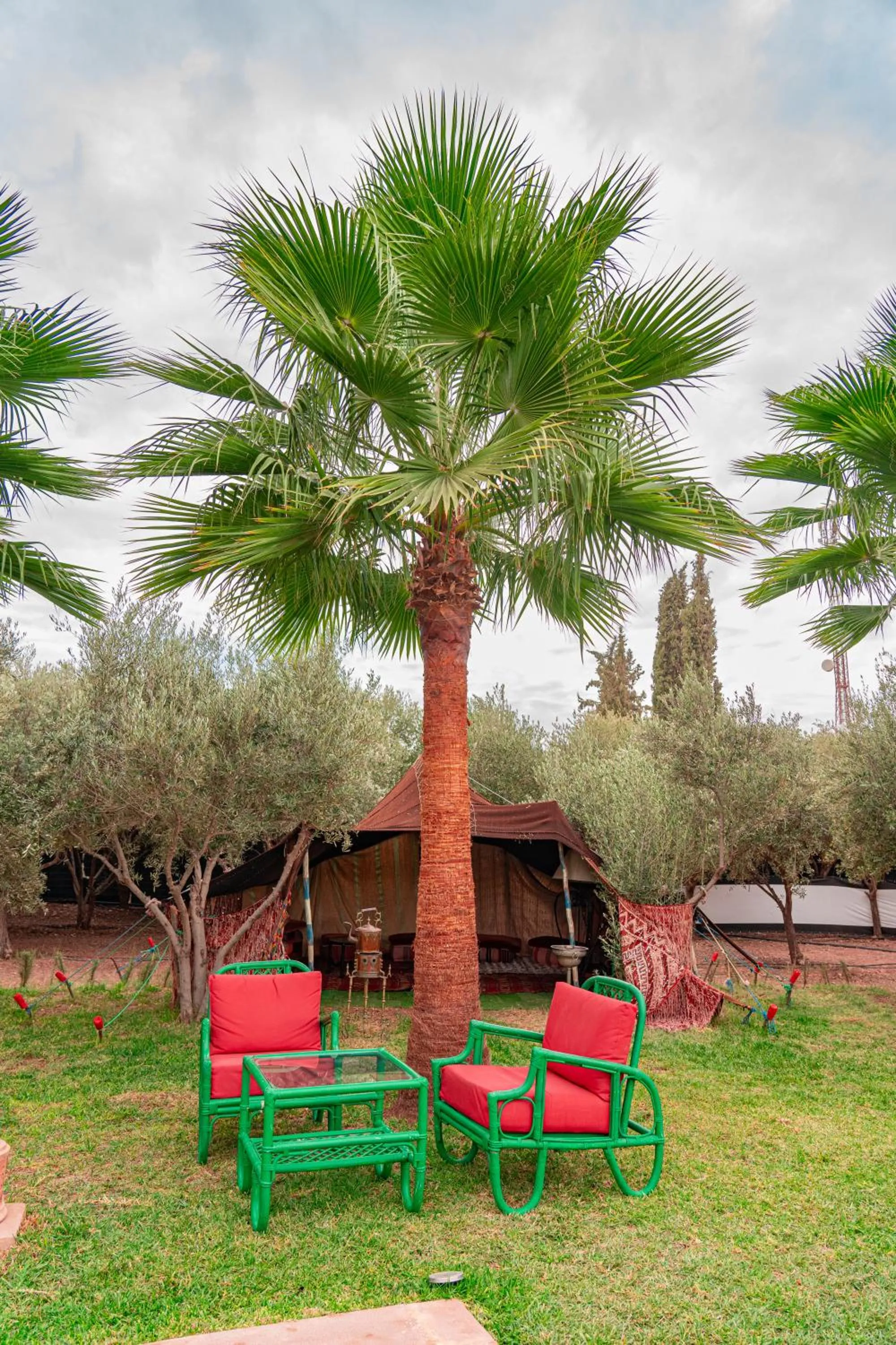 Natural landscape in Villa Baddi Marrakech