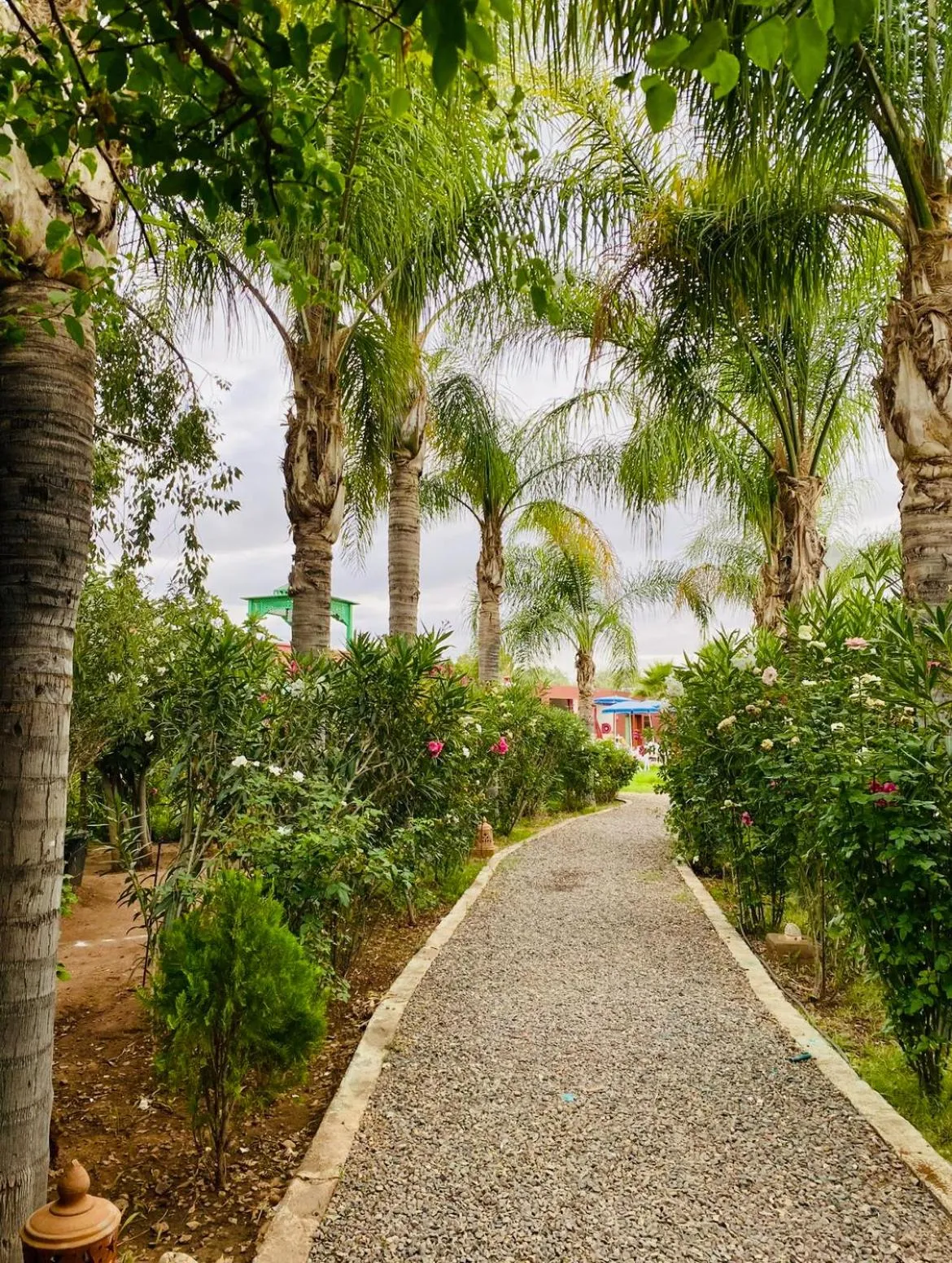 Spring in Villa Baddi Marrakech