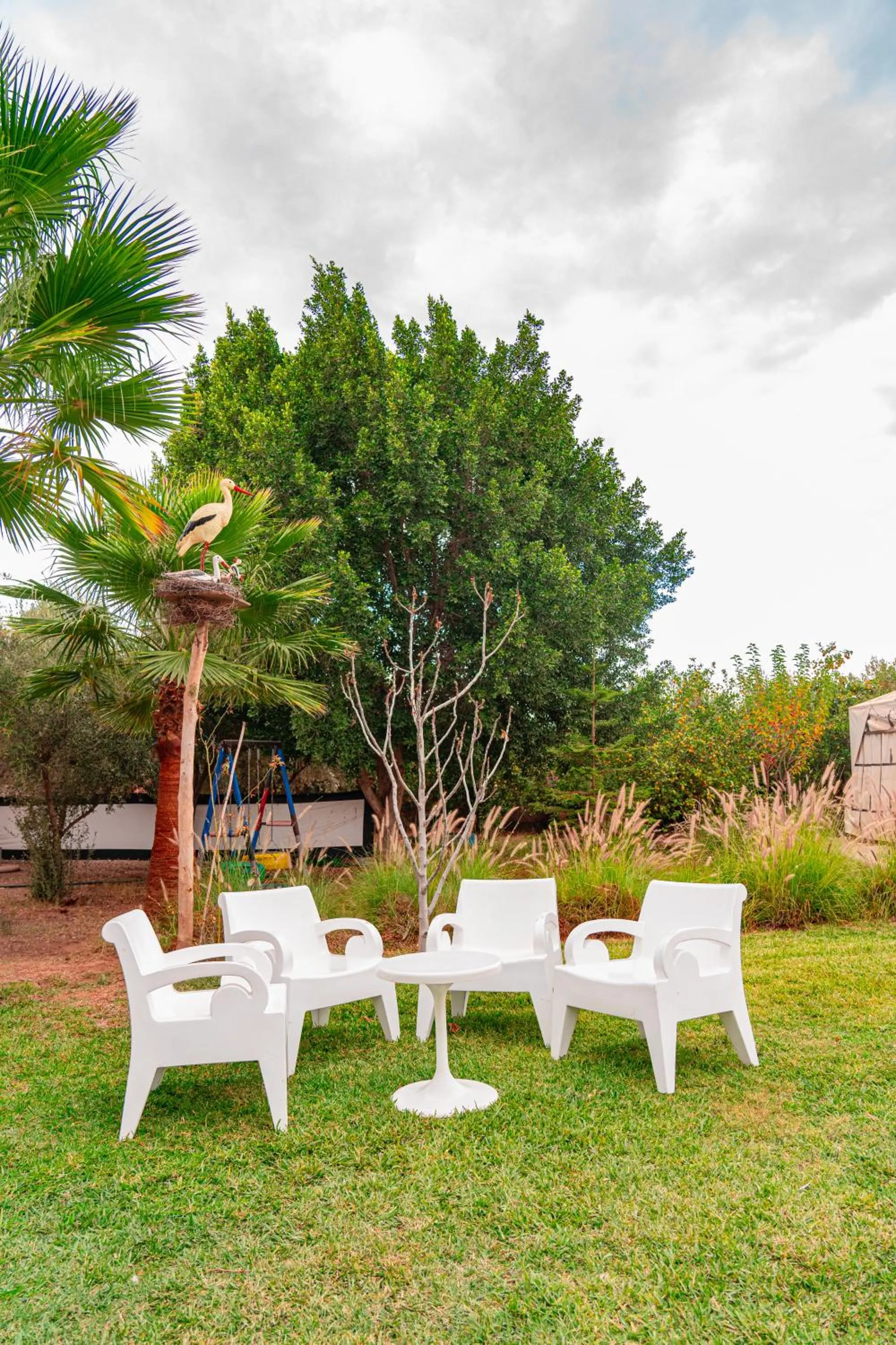 Natural landscape in Villa Baddi Marrakech