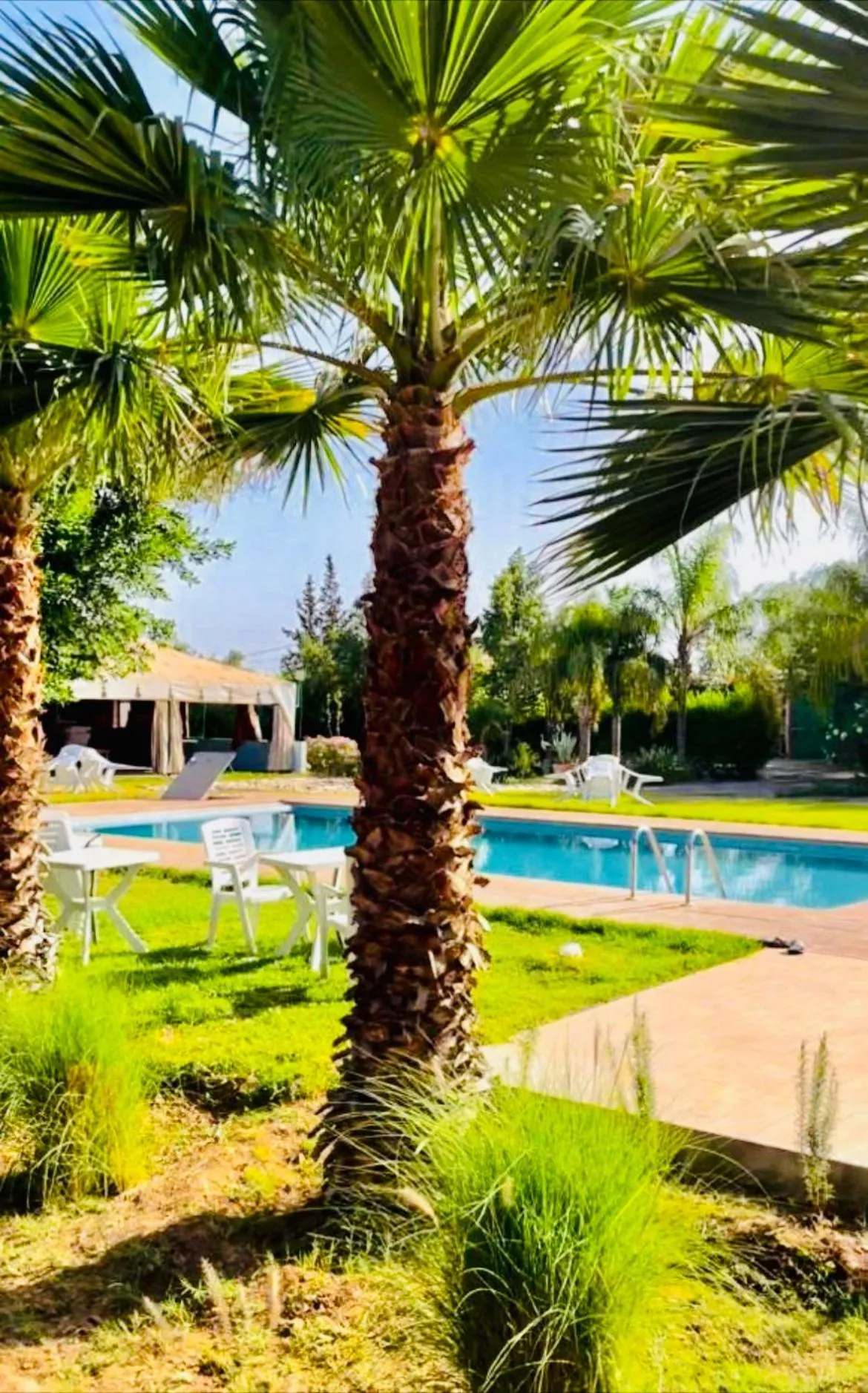 Spring in Villa Baddi Marrakech