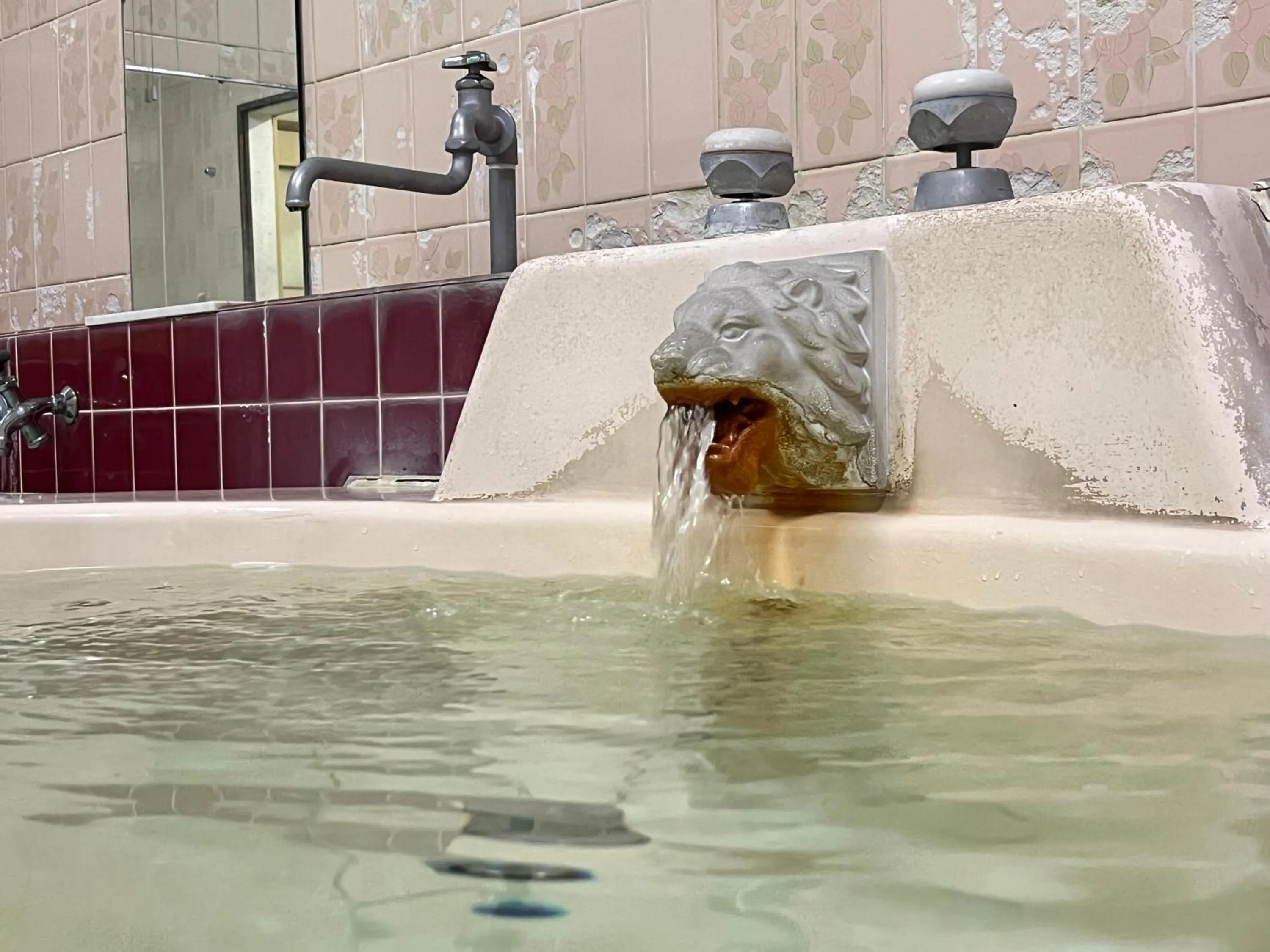 Public Bath in Narusawaso