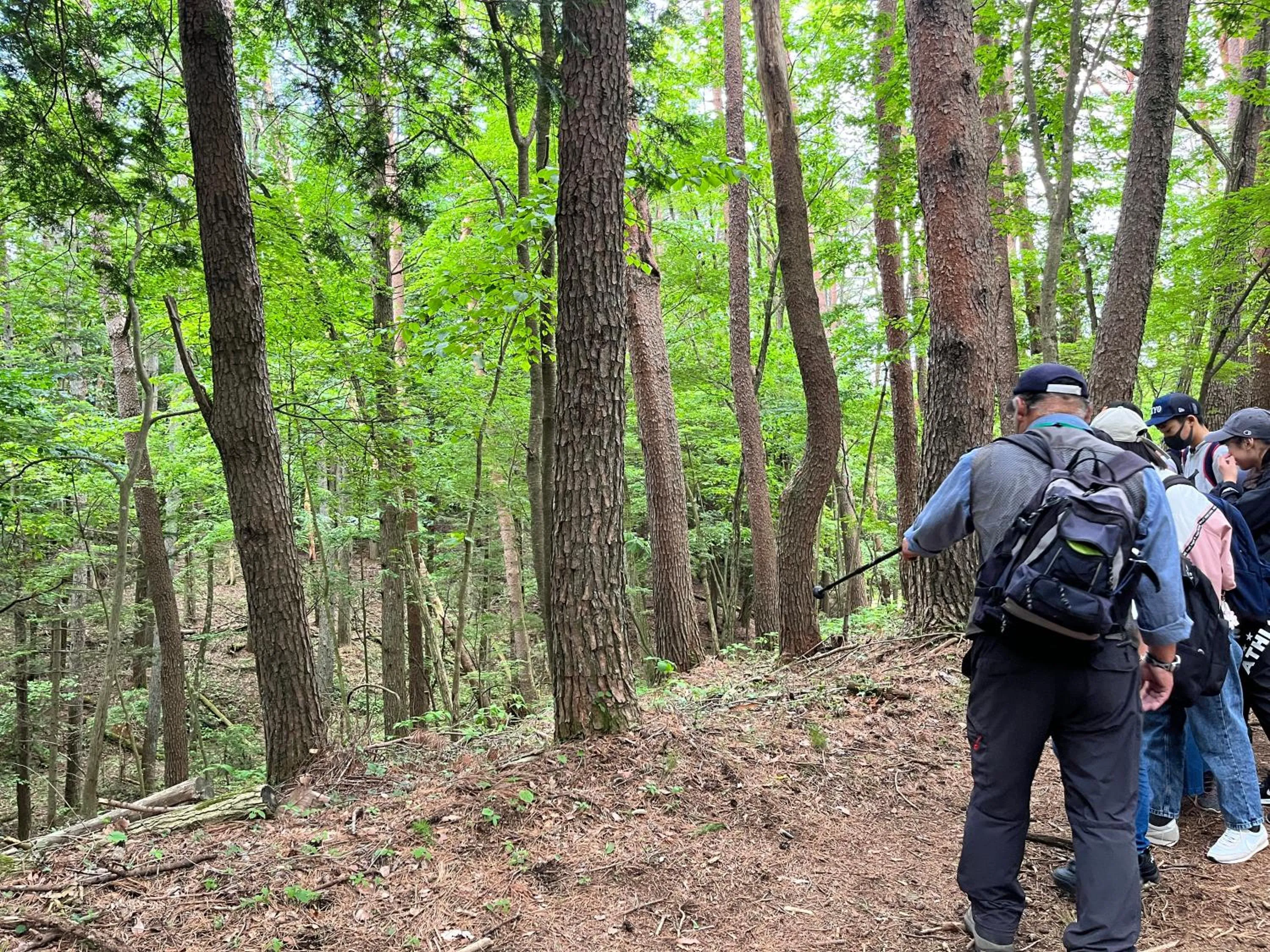 Natural landscape in Narusawaso