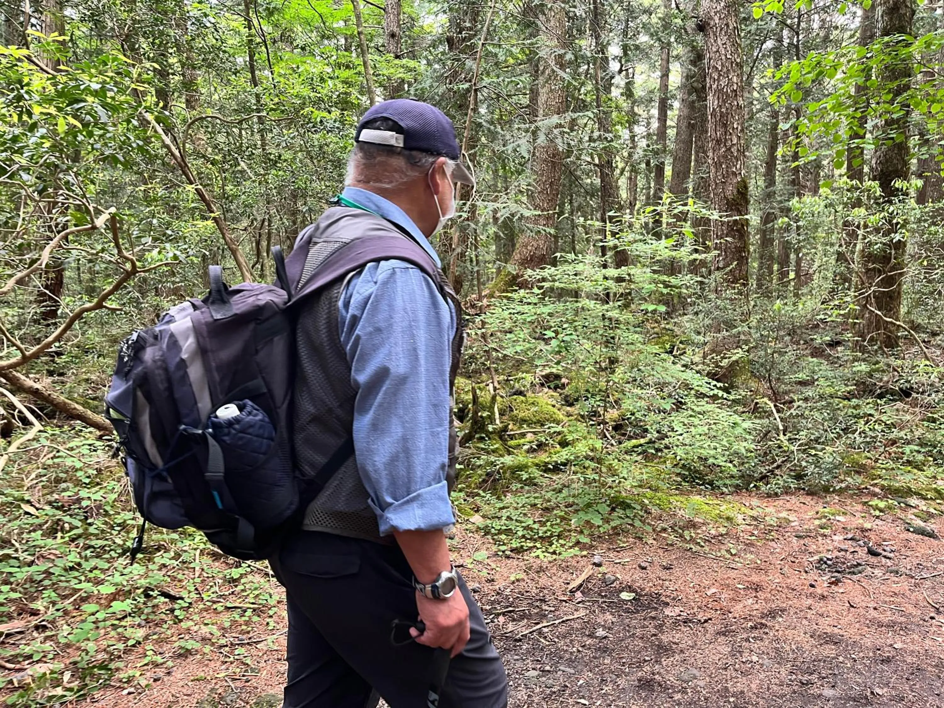 Natural landscape in Narusawaso