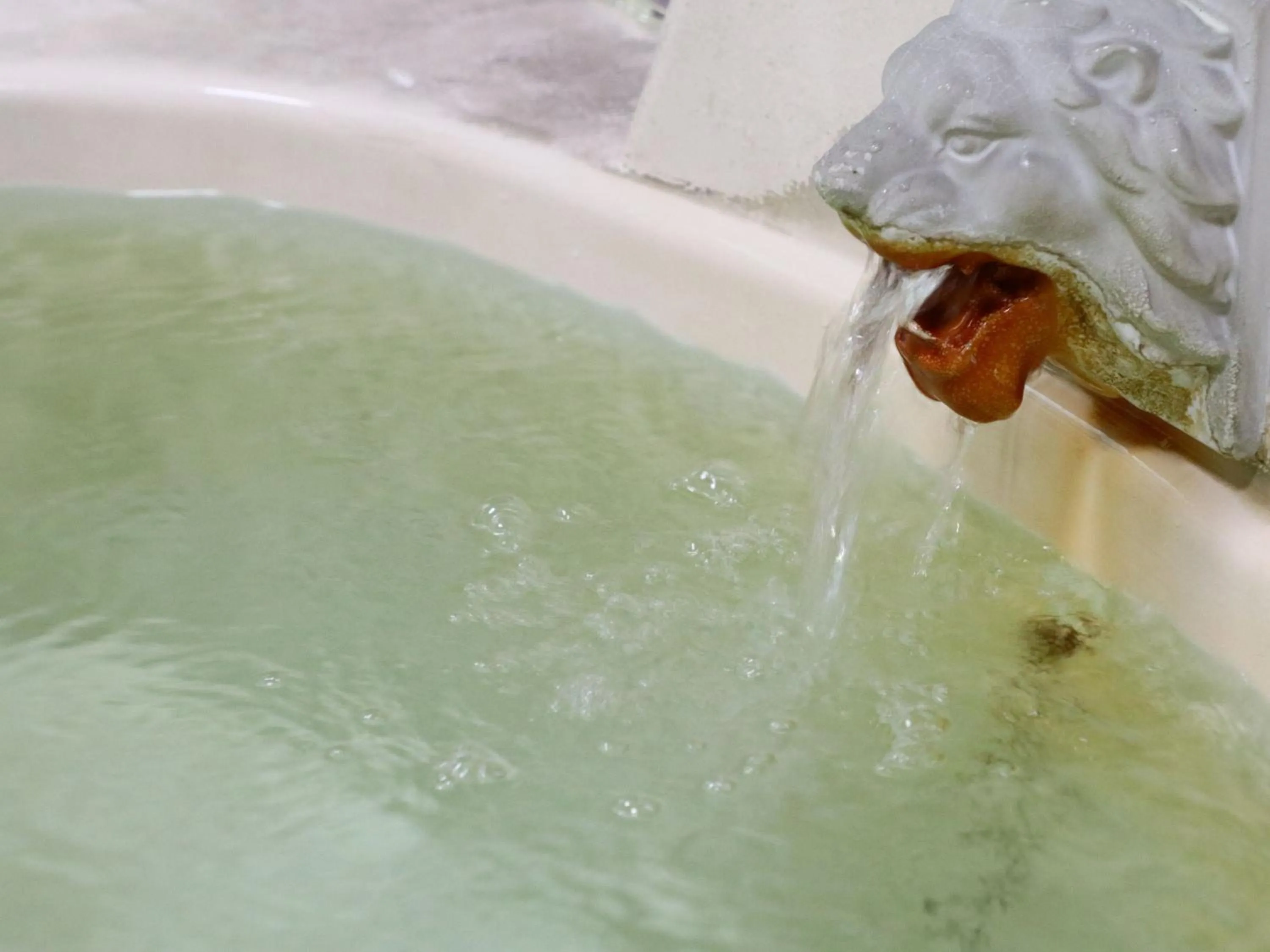 Public Bath in Narusawaso
