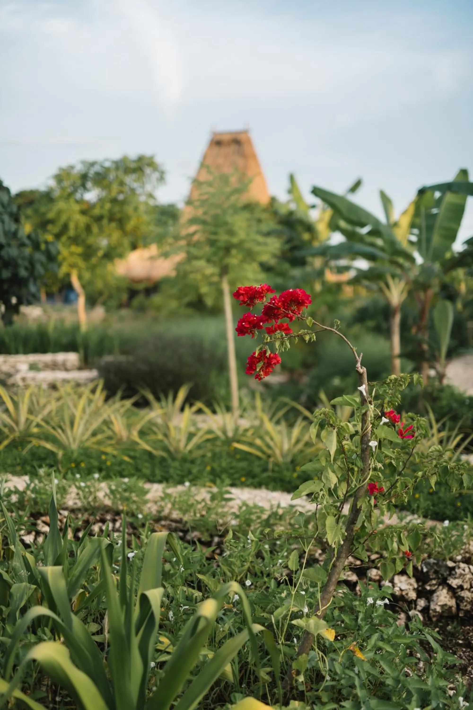 Day in Cap Karoso Sumba - a member of Design Hotels