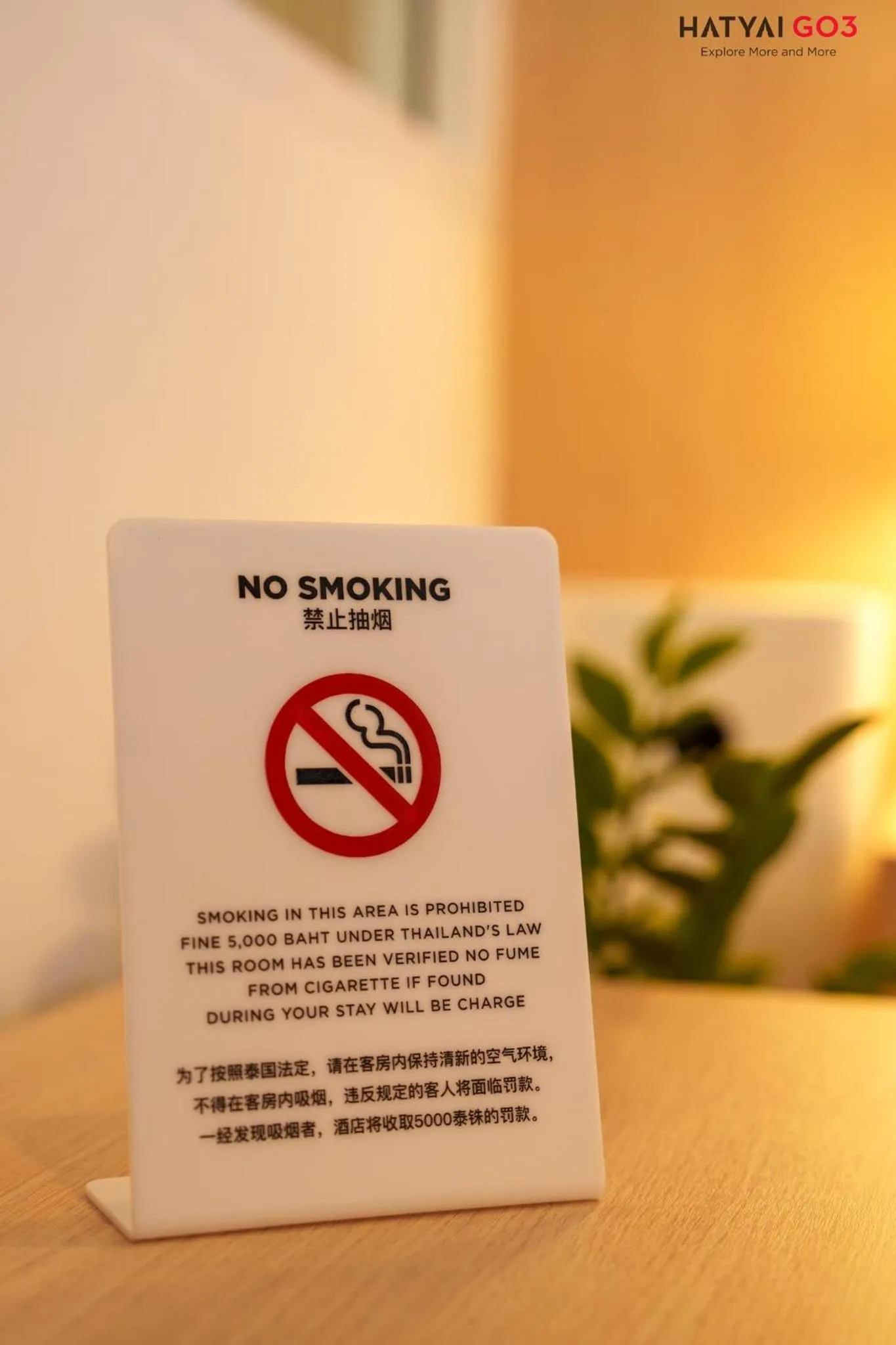 Property building in Chinatown Living Hatyai