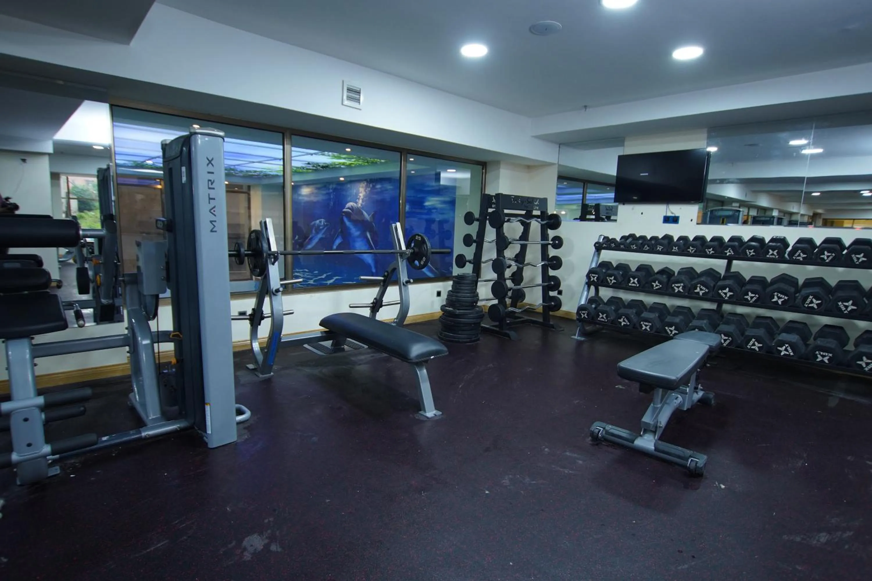 Fitness centre/facilities in Best Western Premier Dynasty