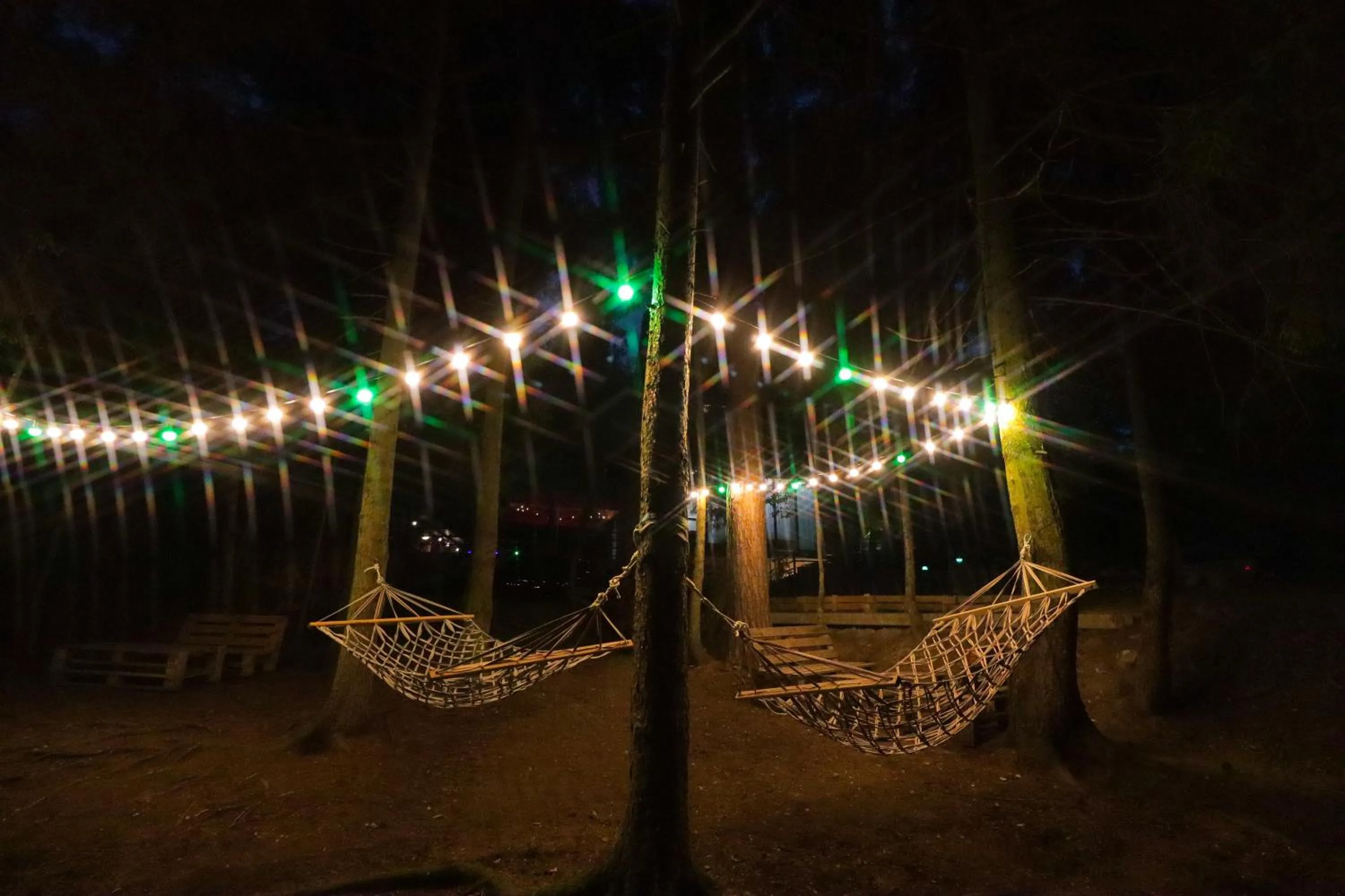 Natural landscape in Hotel Evergreen