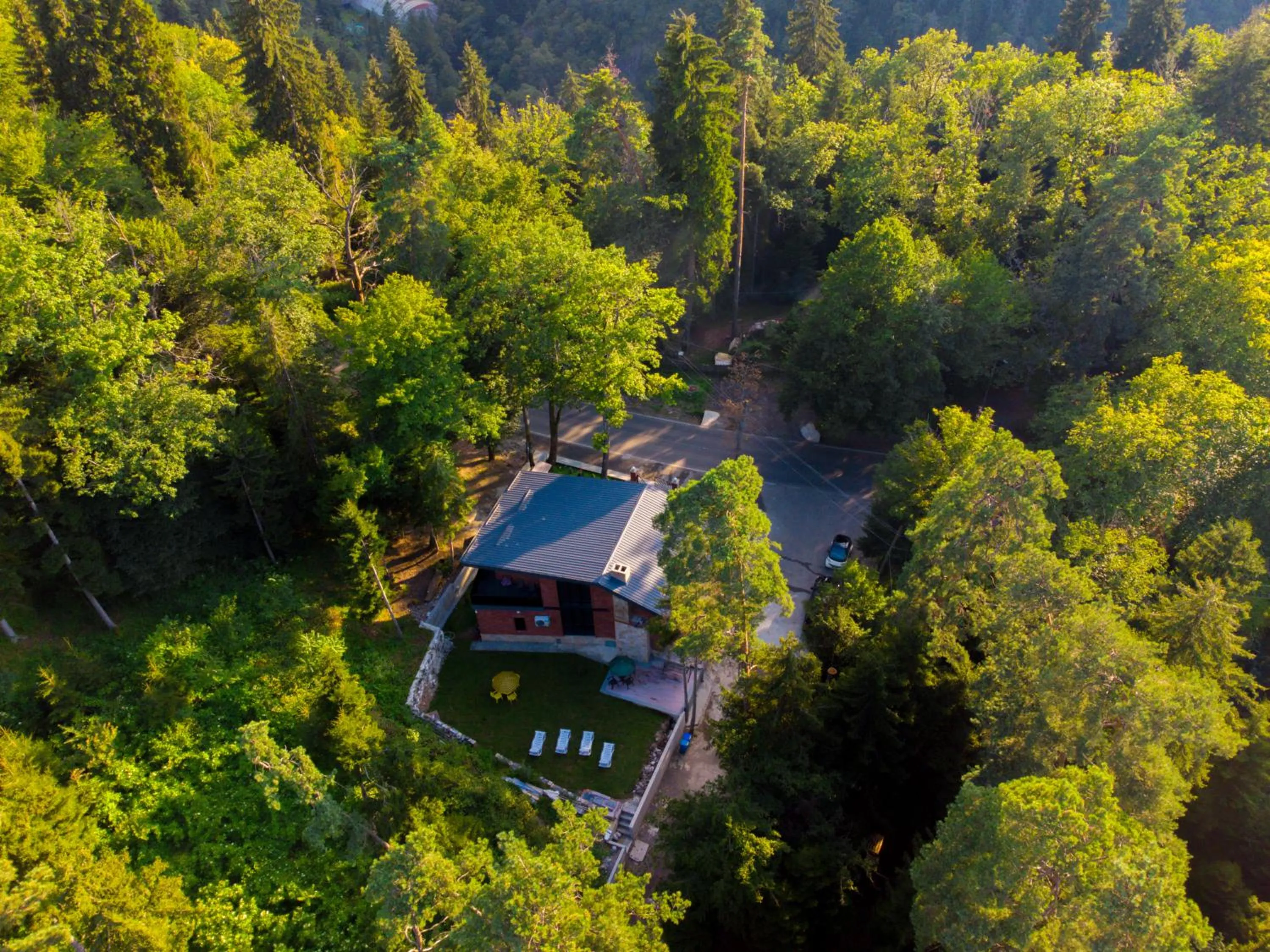 Property building in Hotel Evergreen