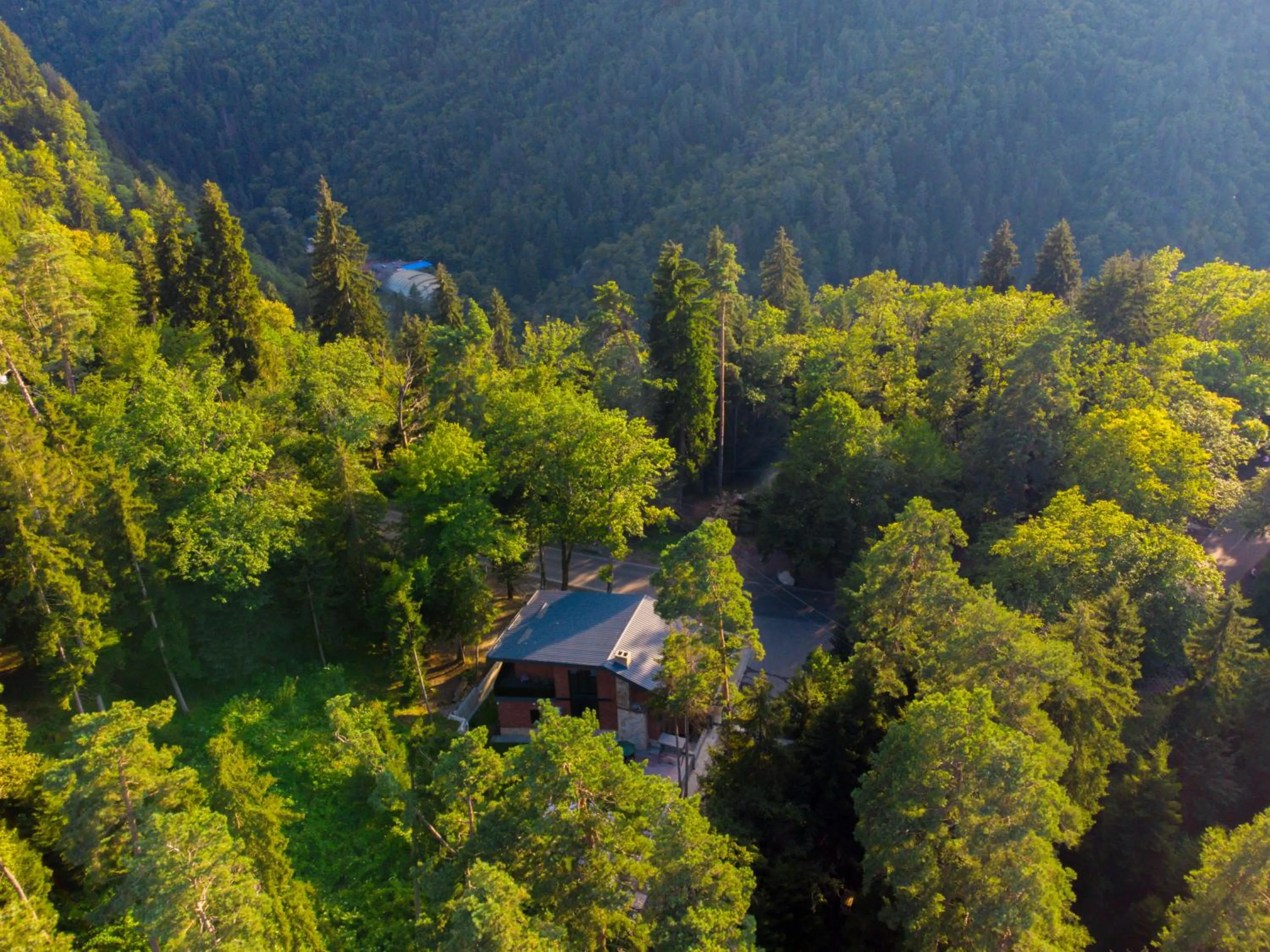 Property building in Hotel Evergreen