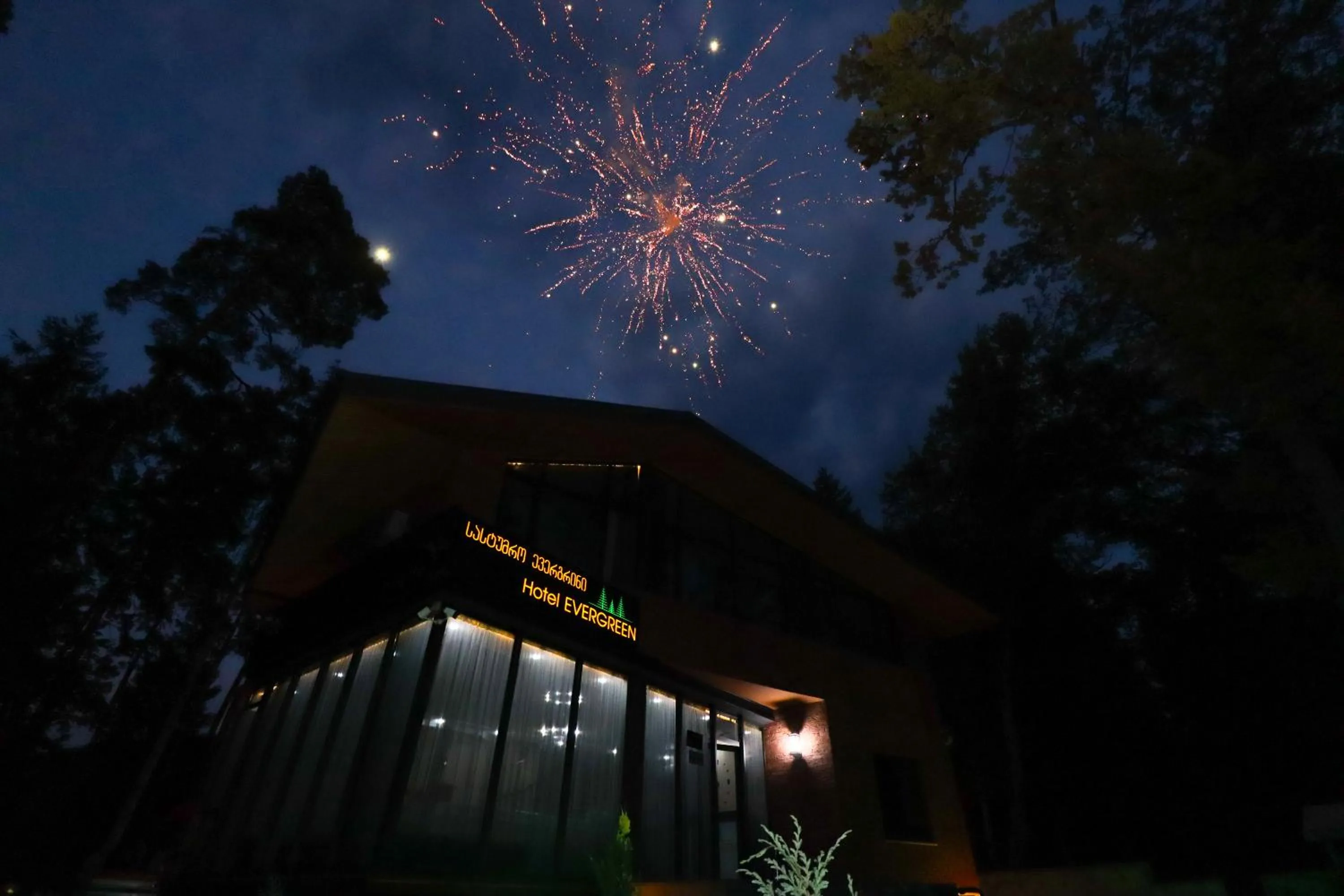 Night in Hotel Evergreen