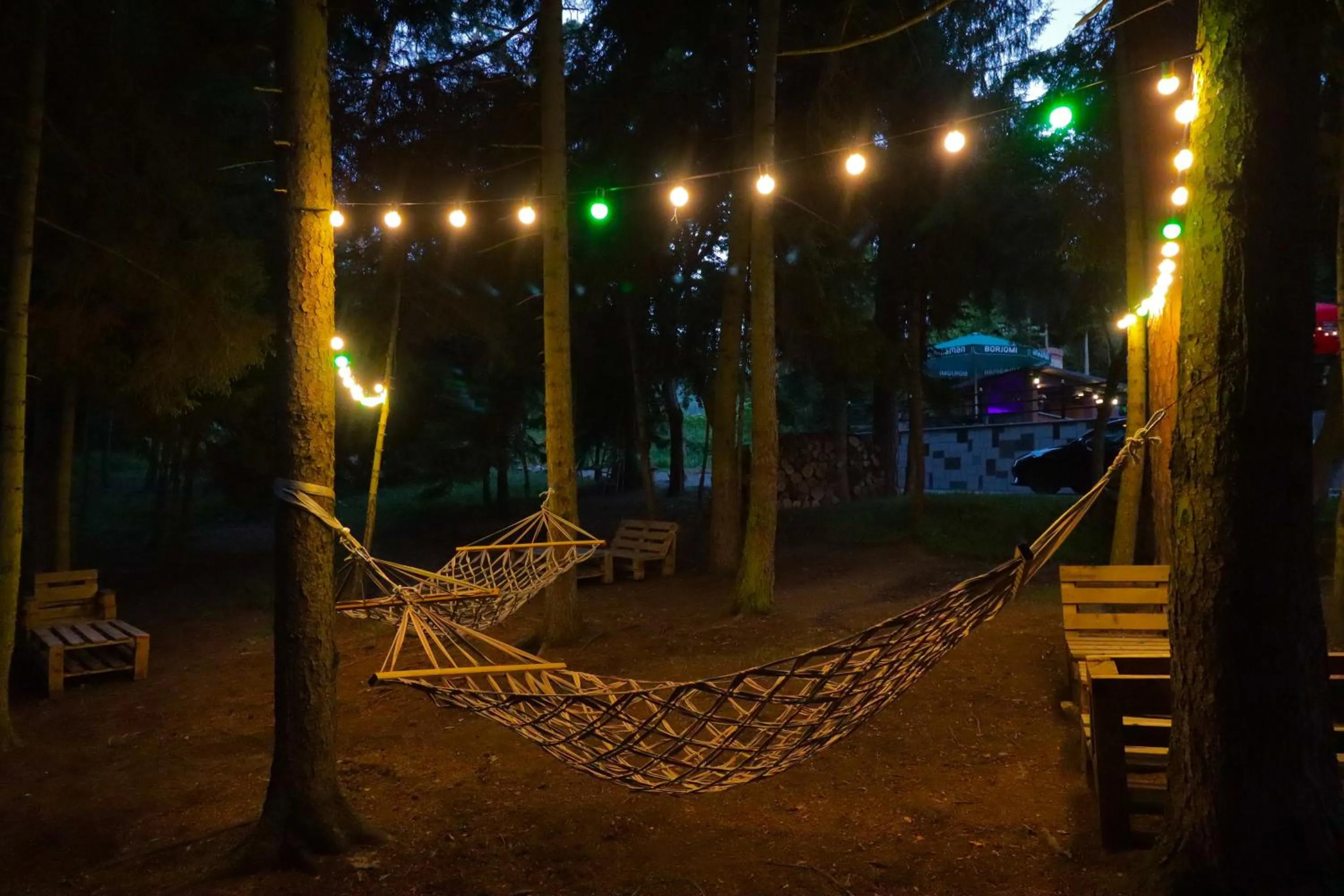 Lounge or bar in Hotel Evergreen