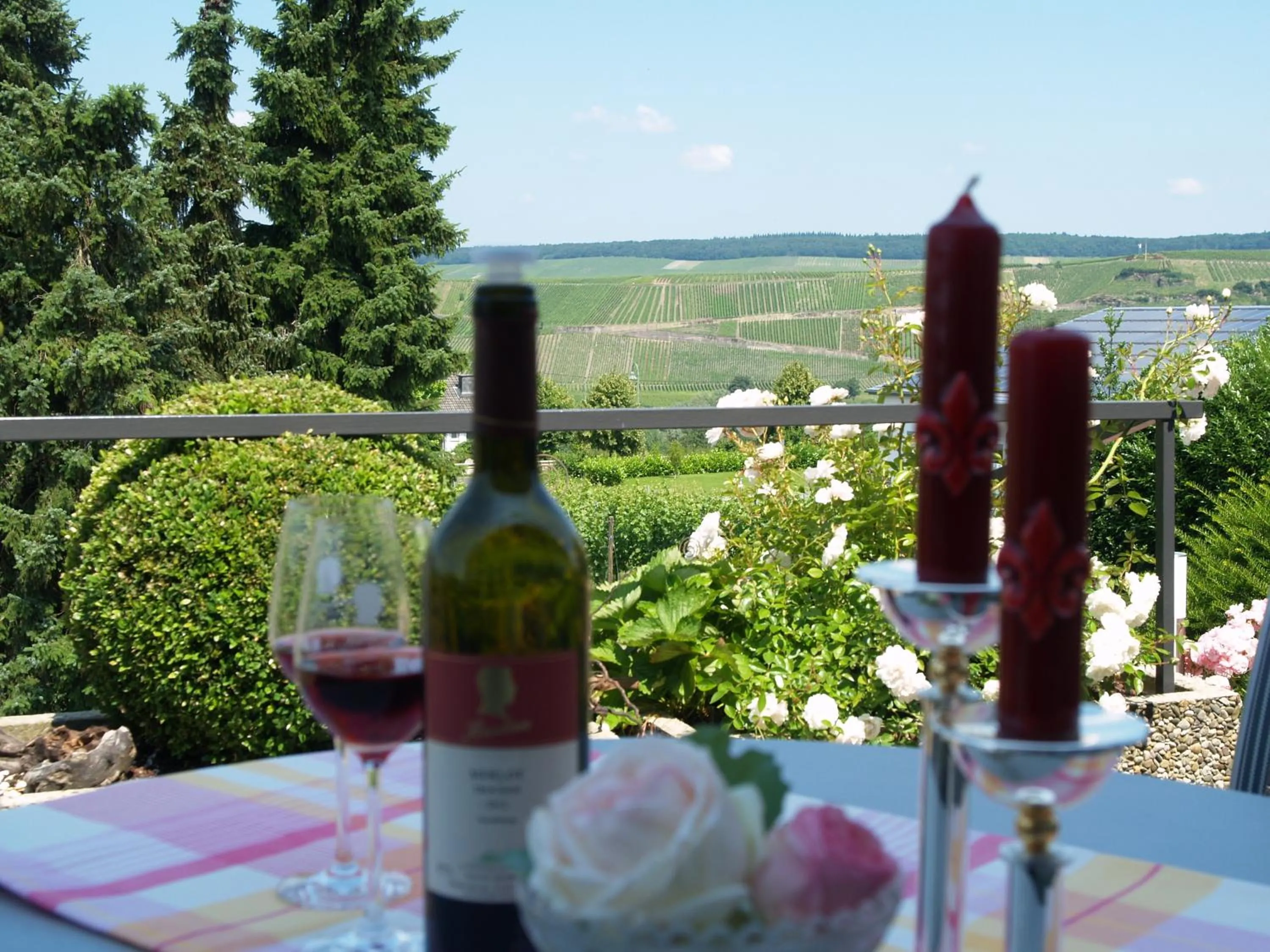 River view in Weingut Bastian