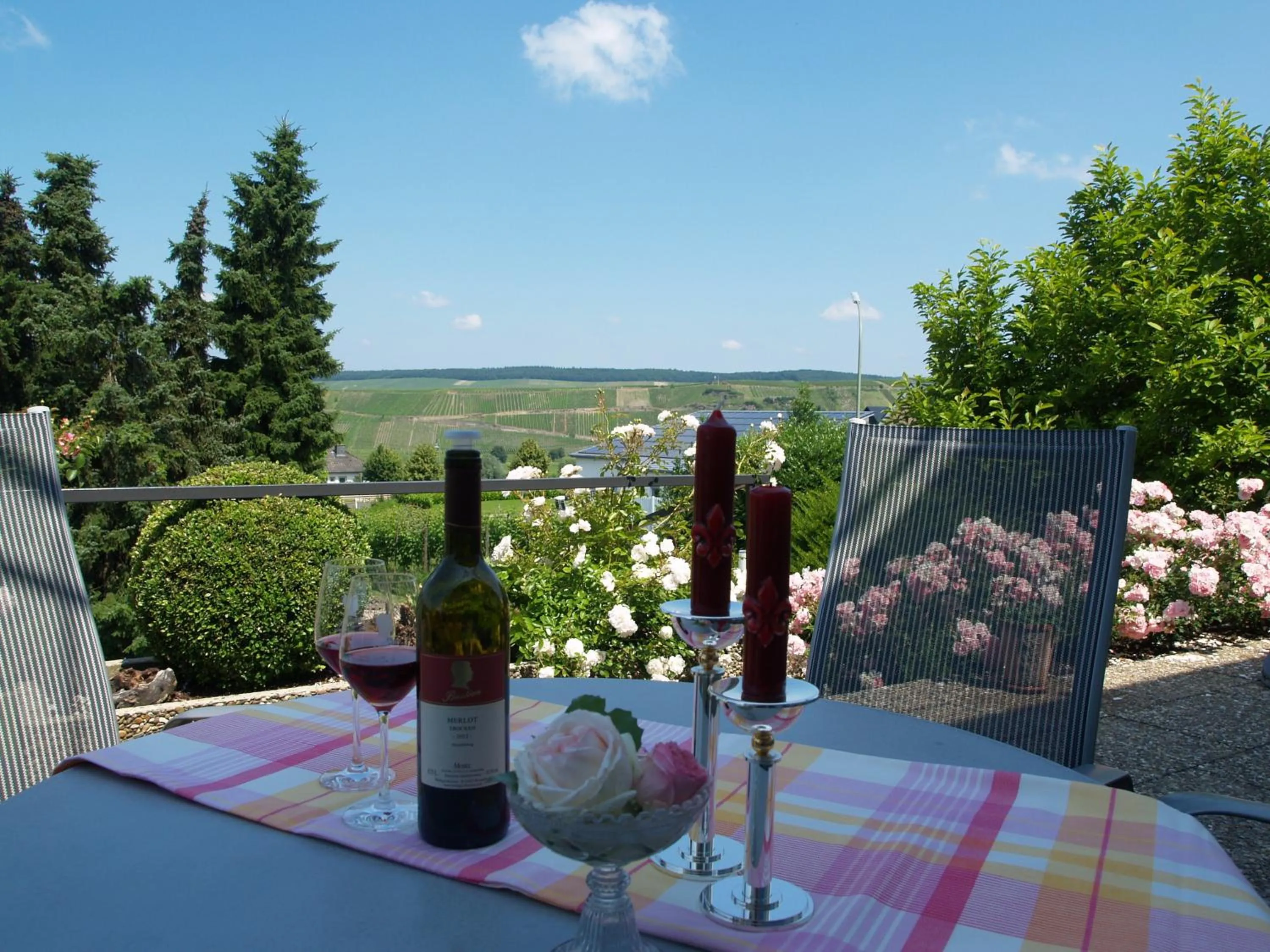 River view in Weingut Bastian
