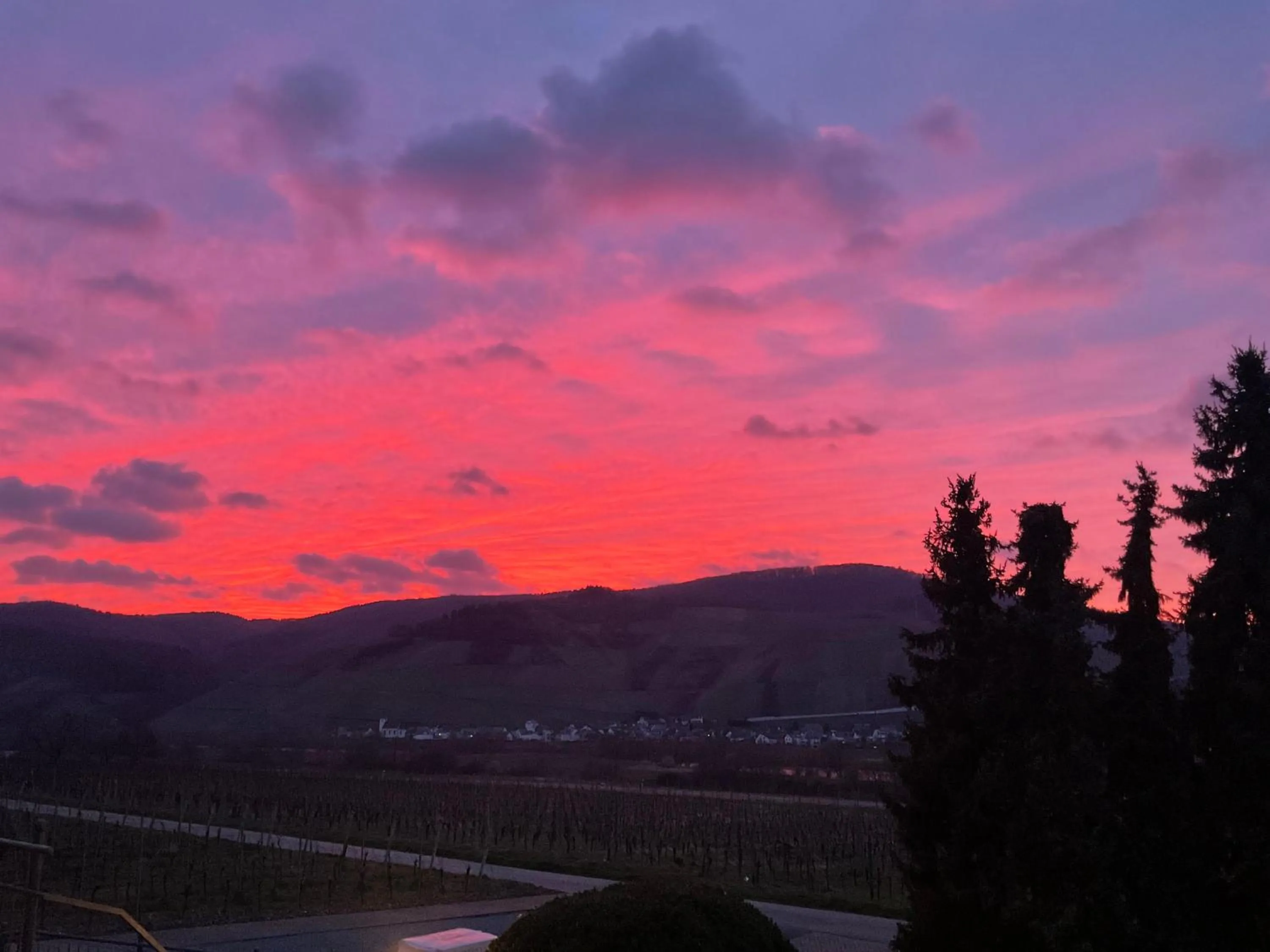 Natural landscape in Weingut Bastian