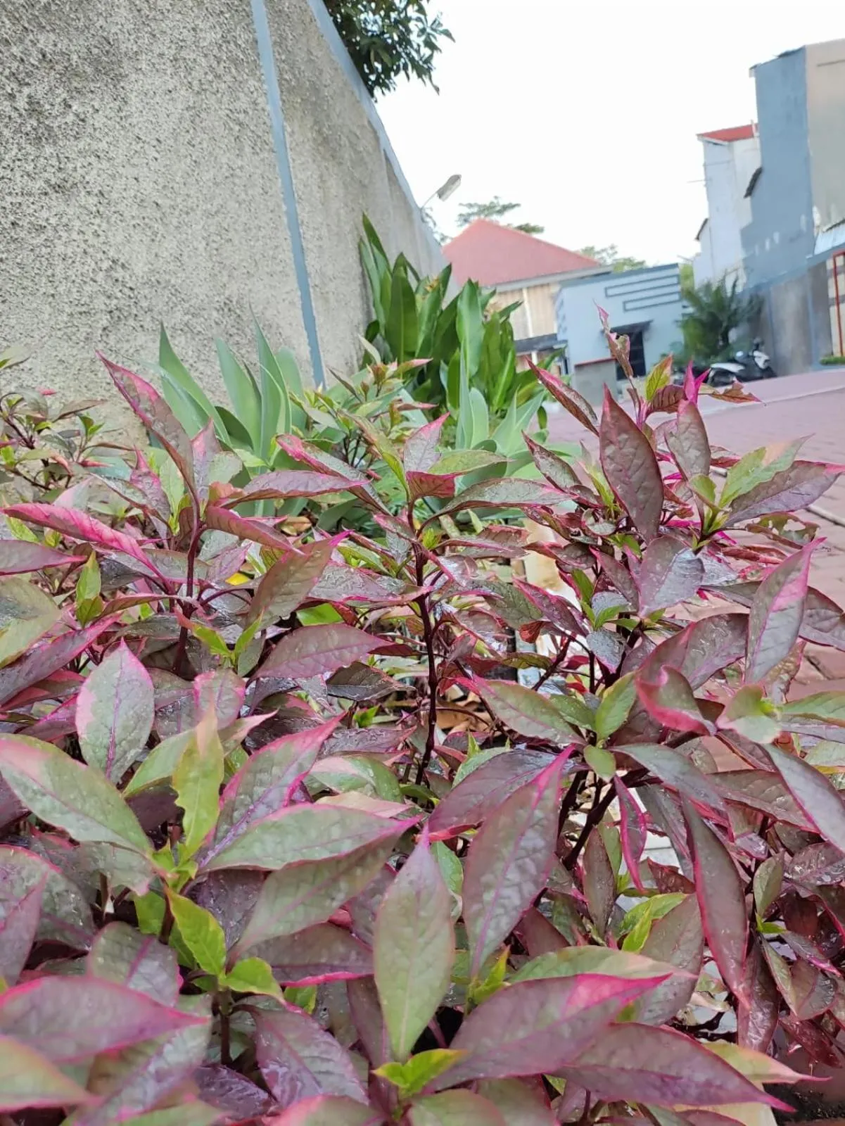 Property building in Hotel Cibening