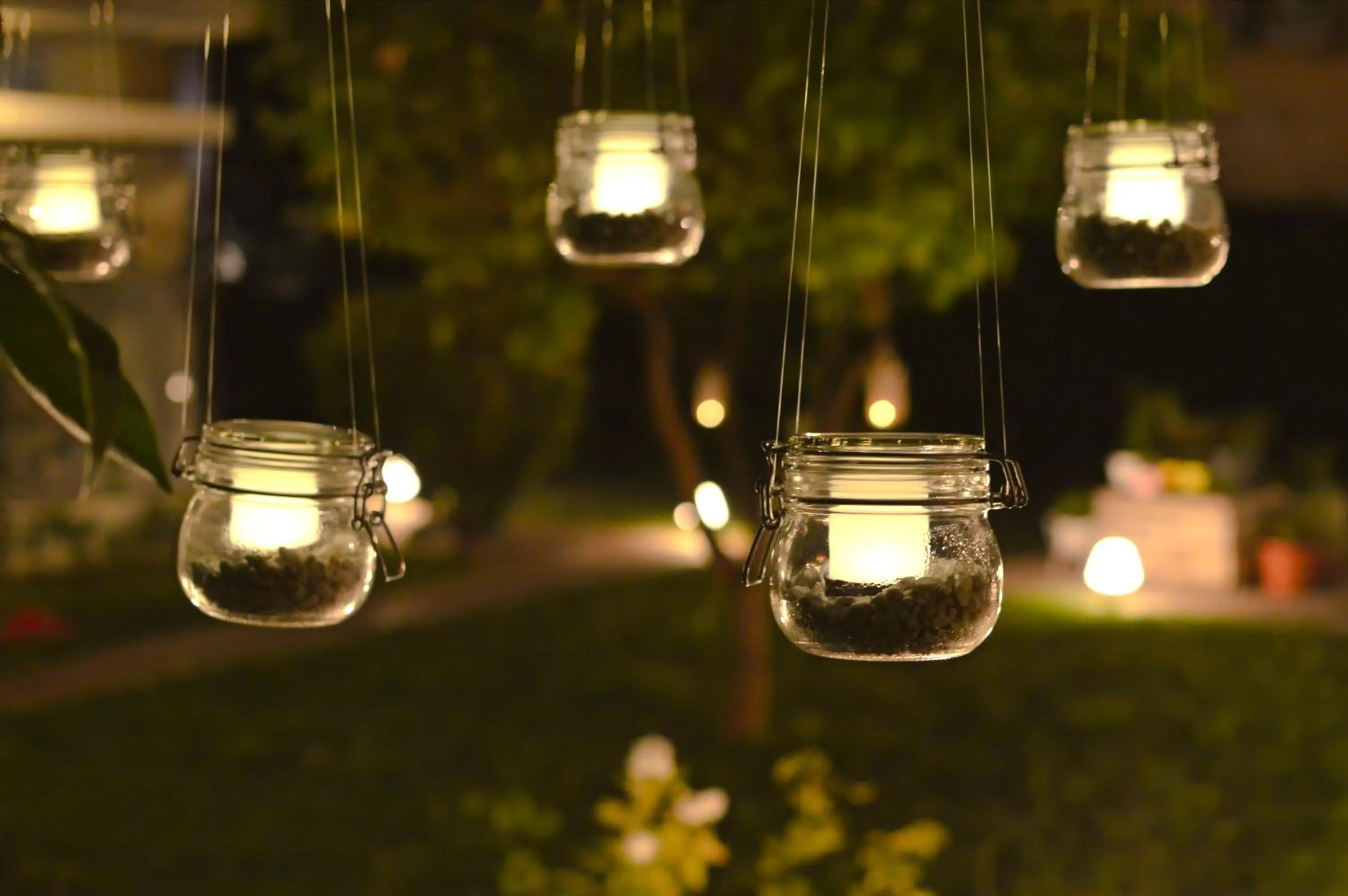 Garden in Acropol Hotel