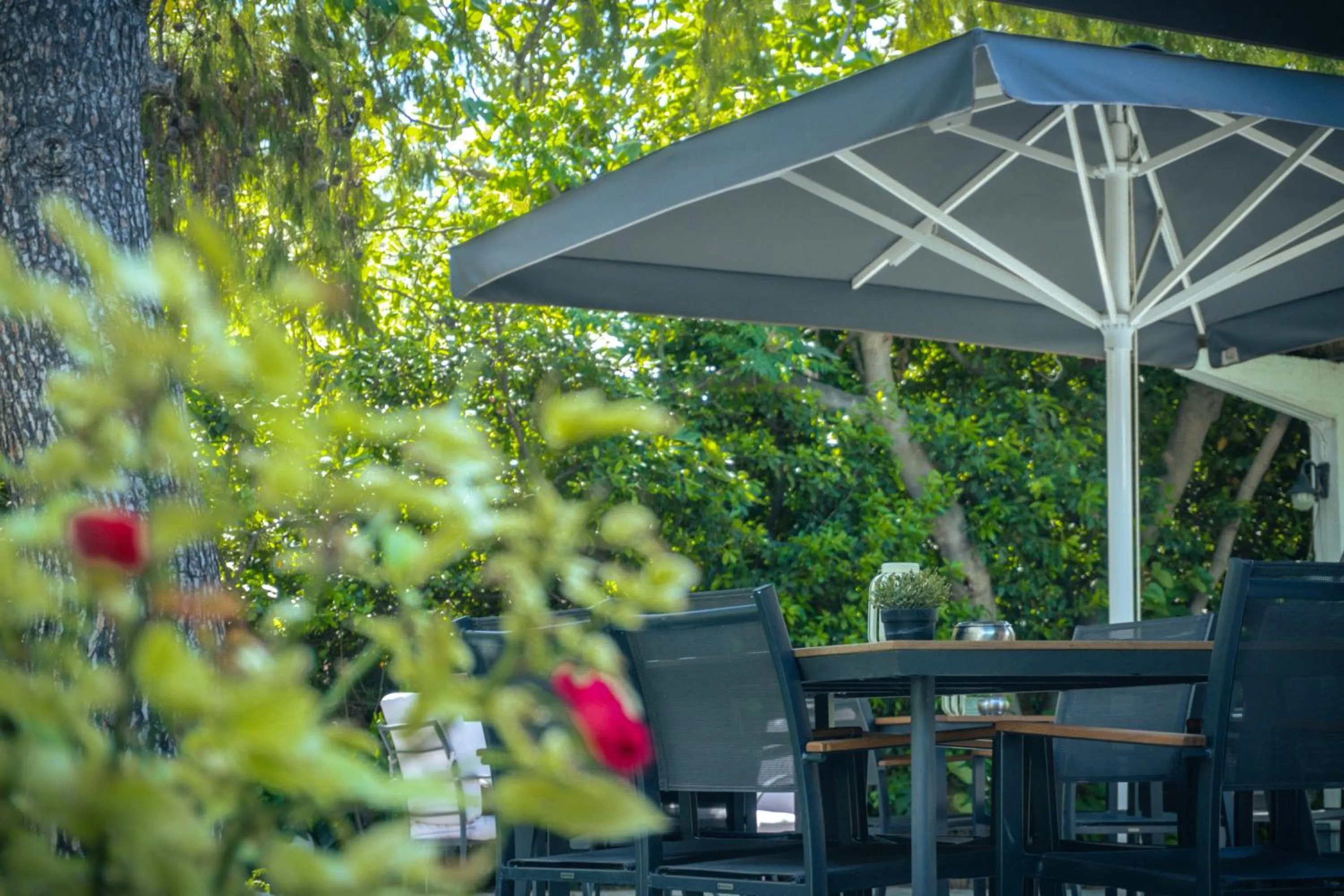 Property building in Acropol Hotel