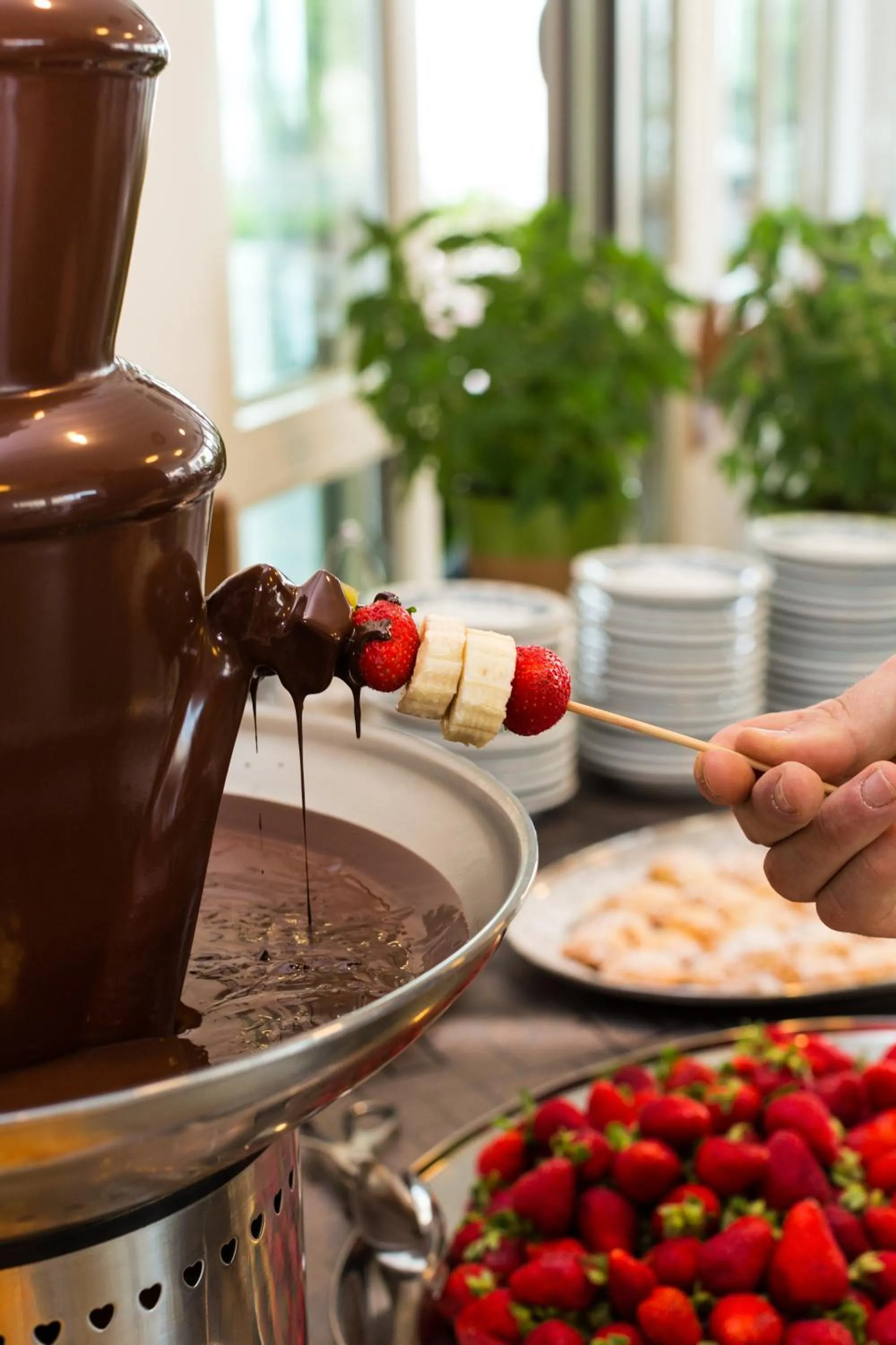 Food in Hotel Albatros