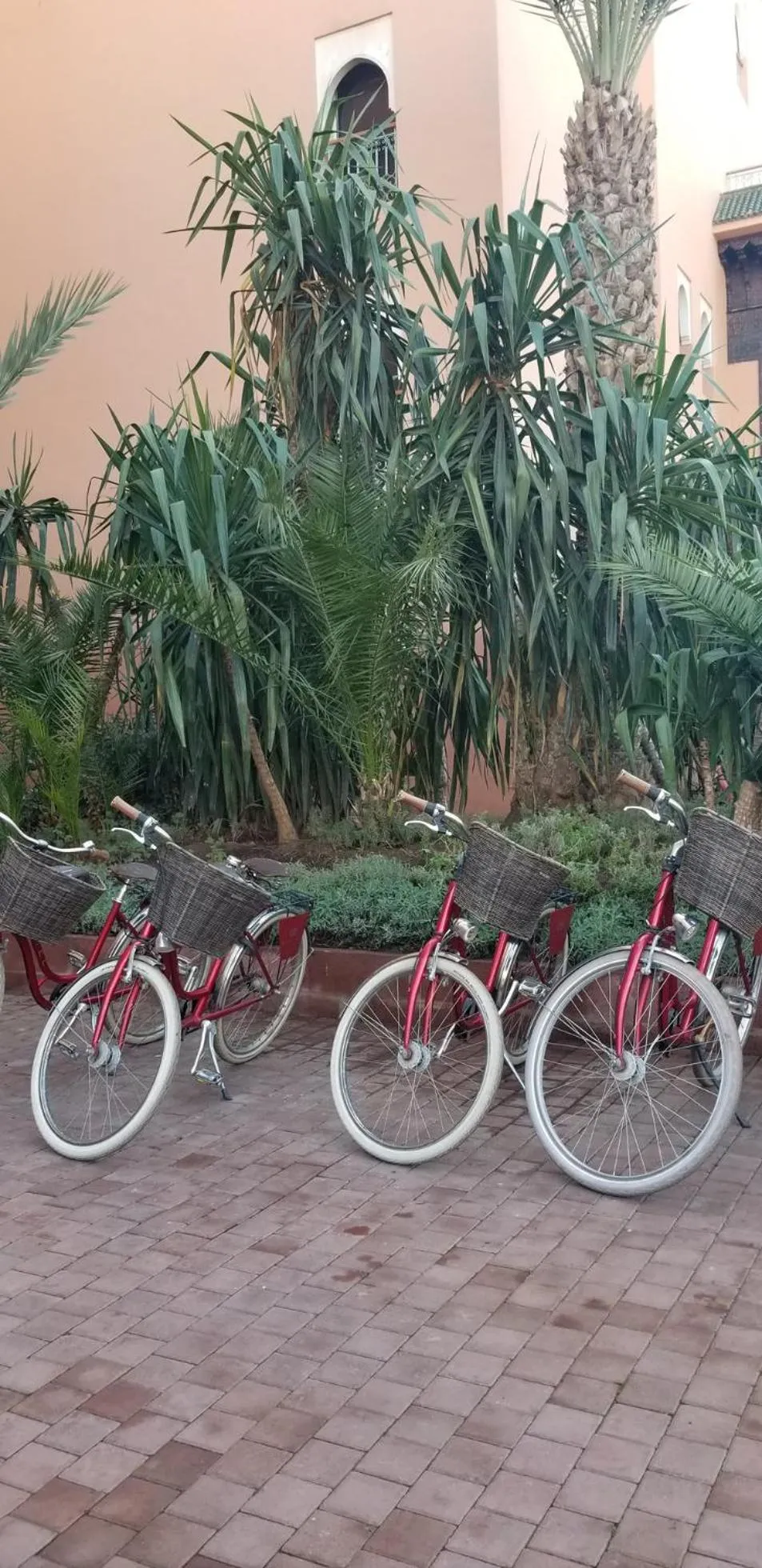 Cycling in YVES Marrakech