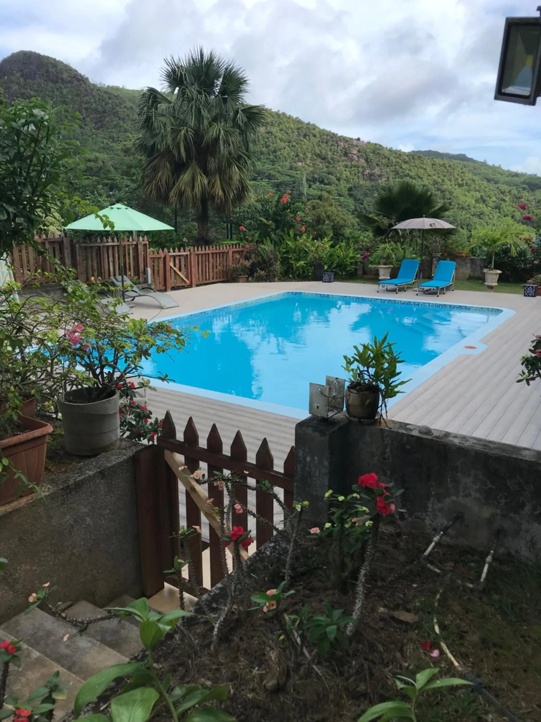 Pool view in Residence Monte-Cristo