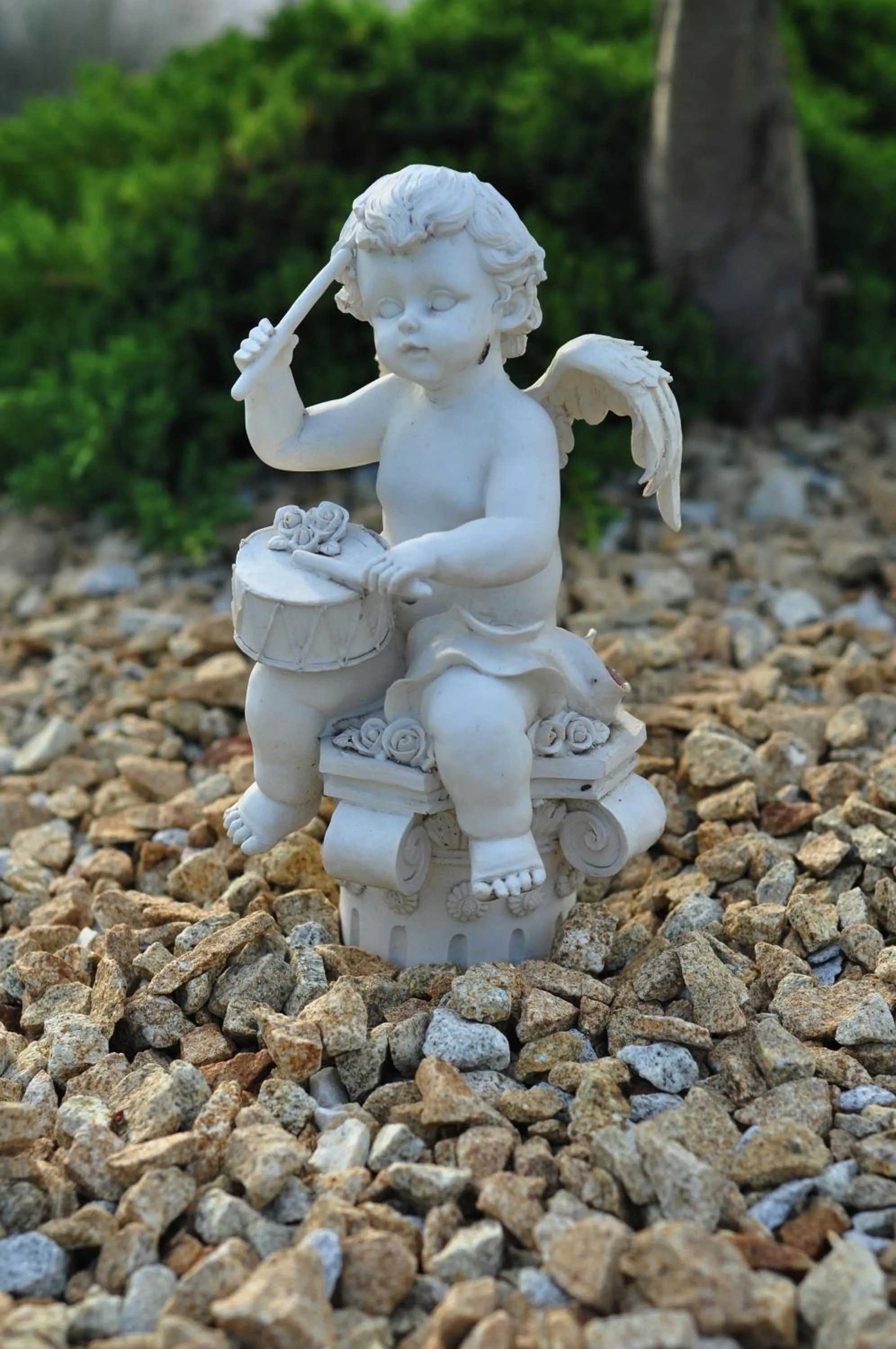 Garden in Hotel Hawana