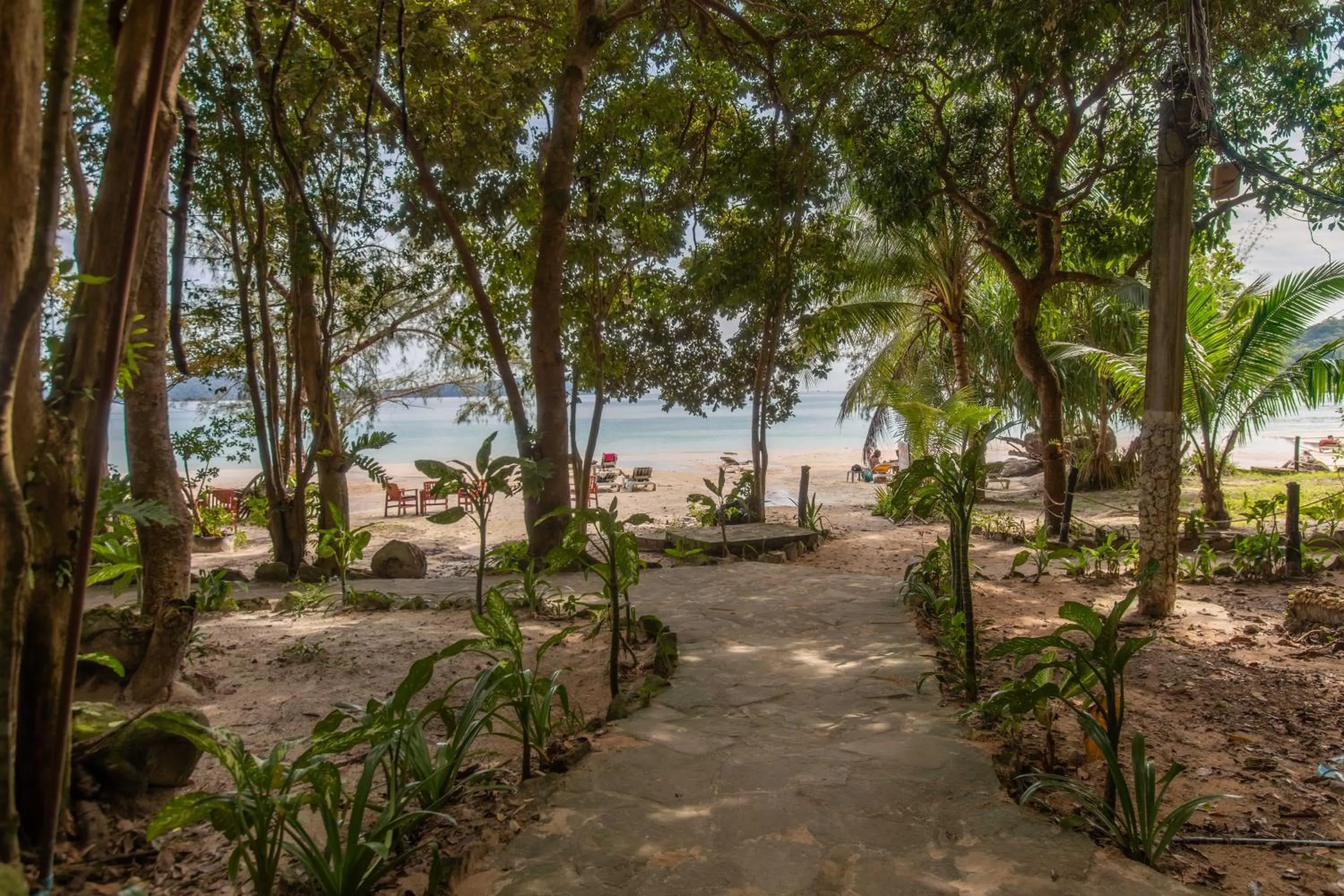 Garden in White Beach Bungalows