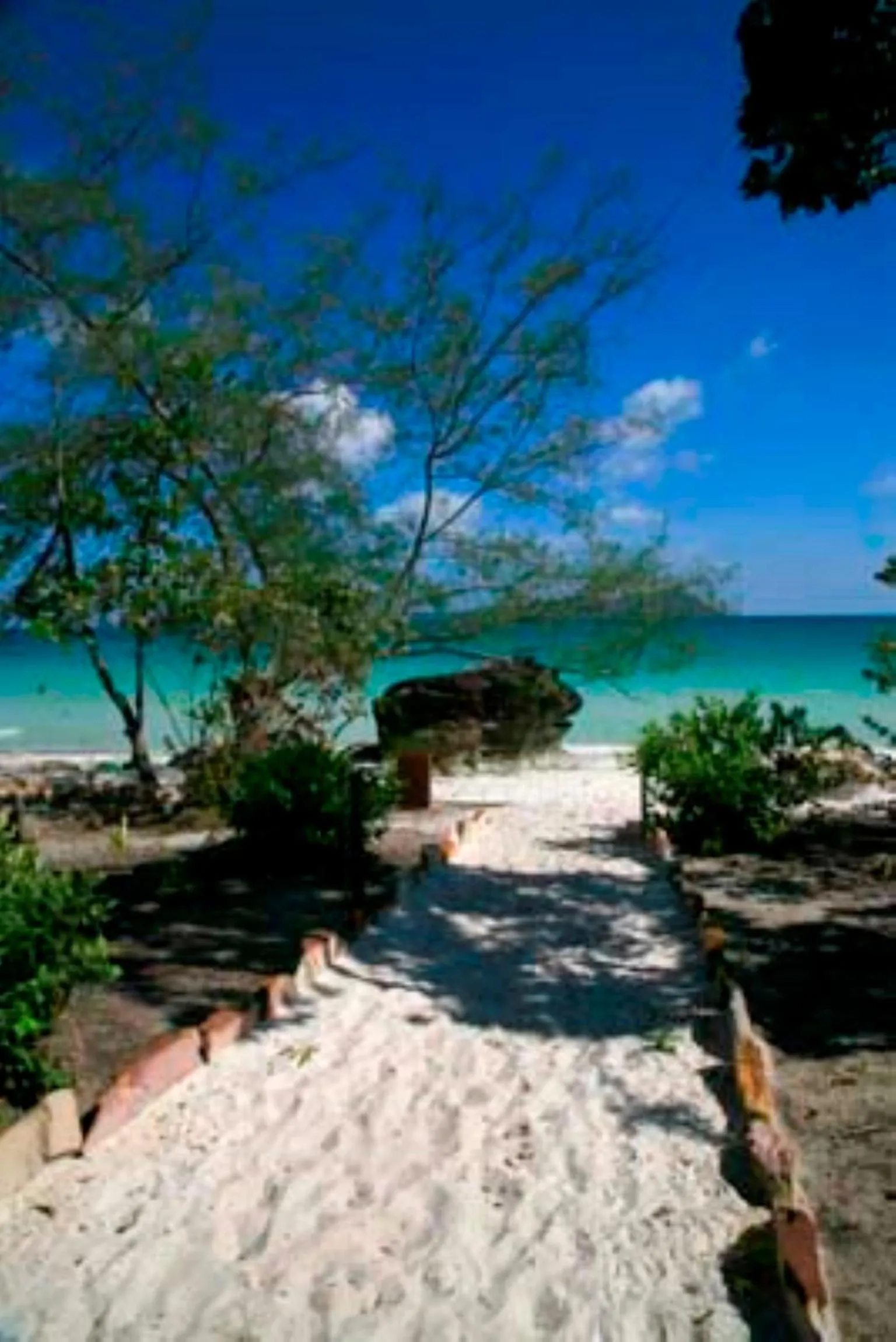 Beach in White Beach Bungalows
