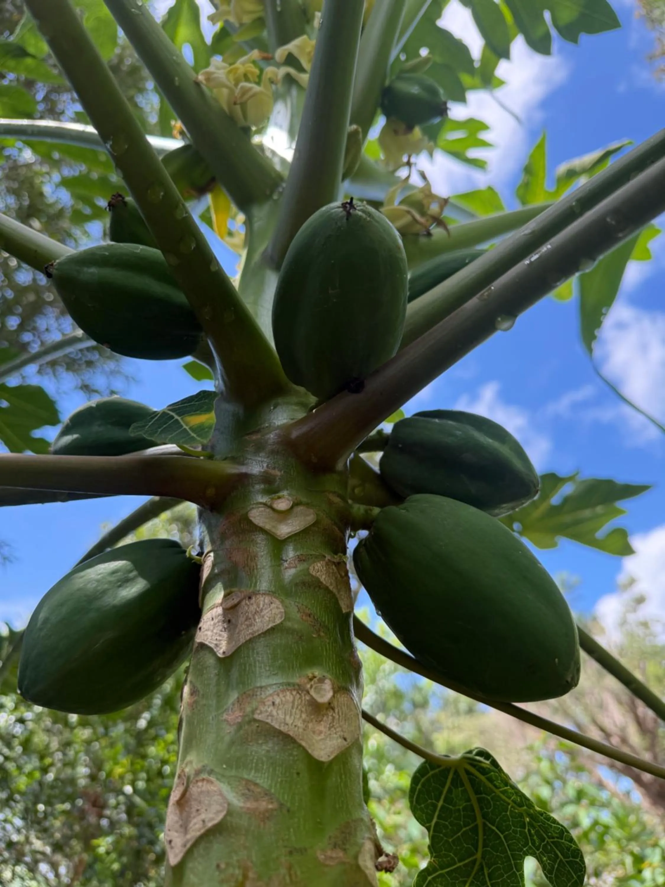 Garden in La Vista Lodge