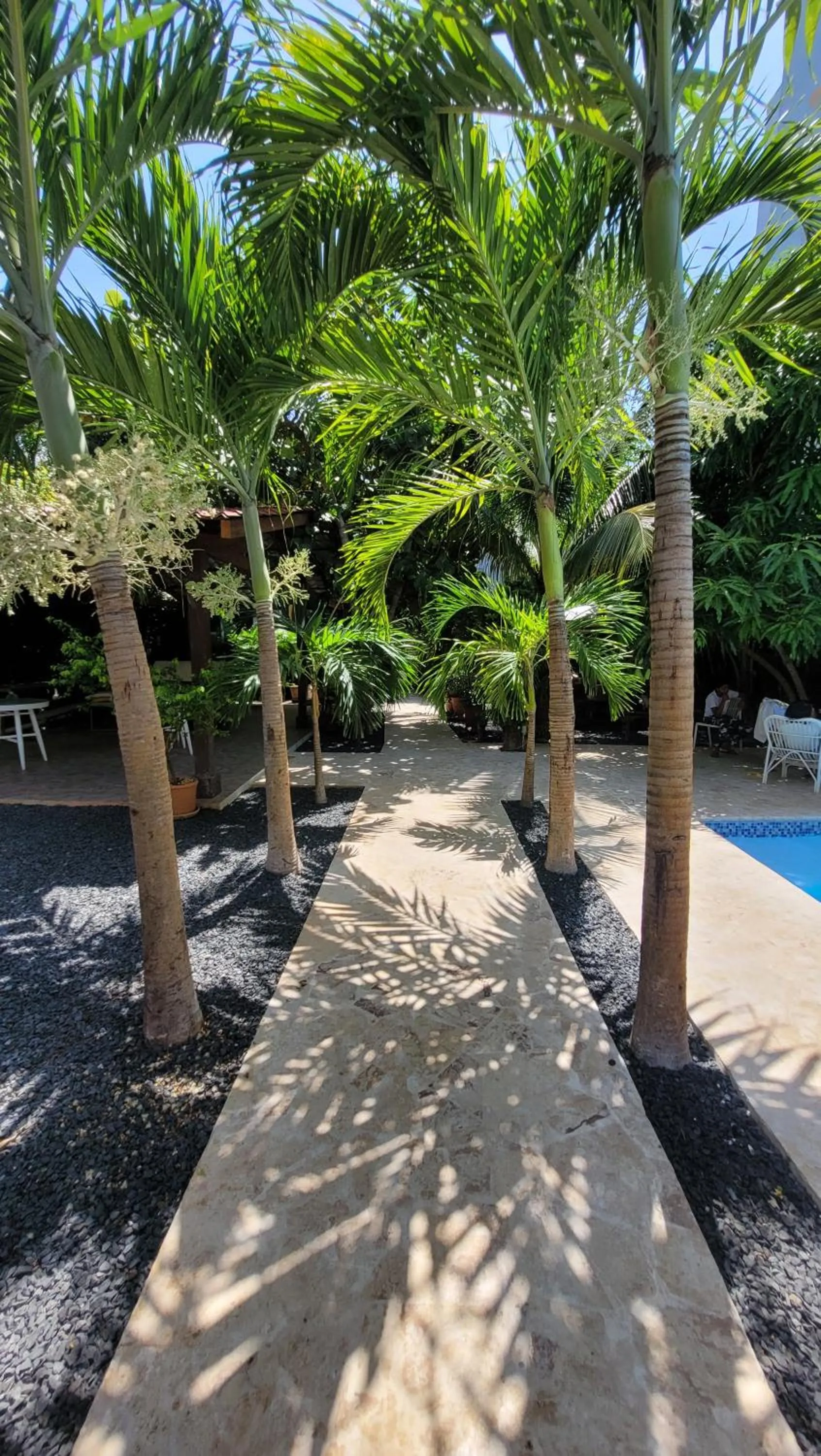 Patio in Green Oasis Hotel