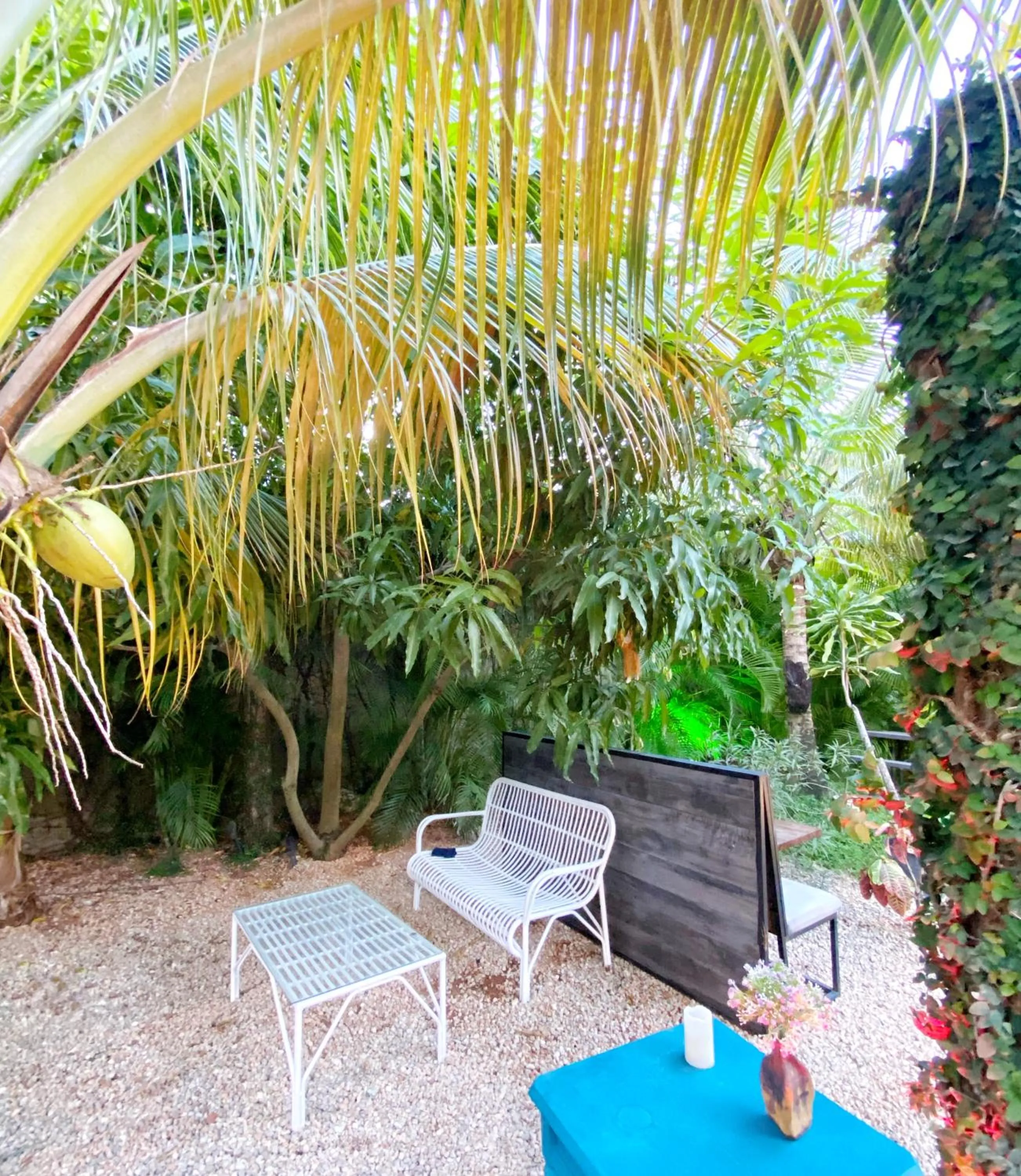 Patio in Green Oasis Hotel
