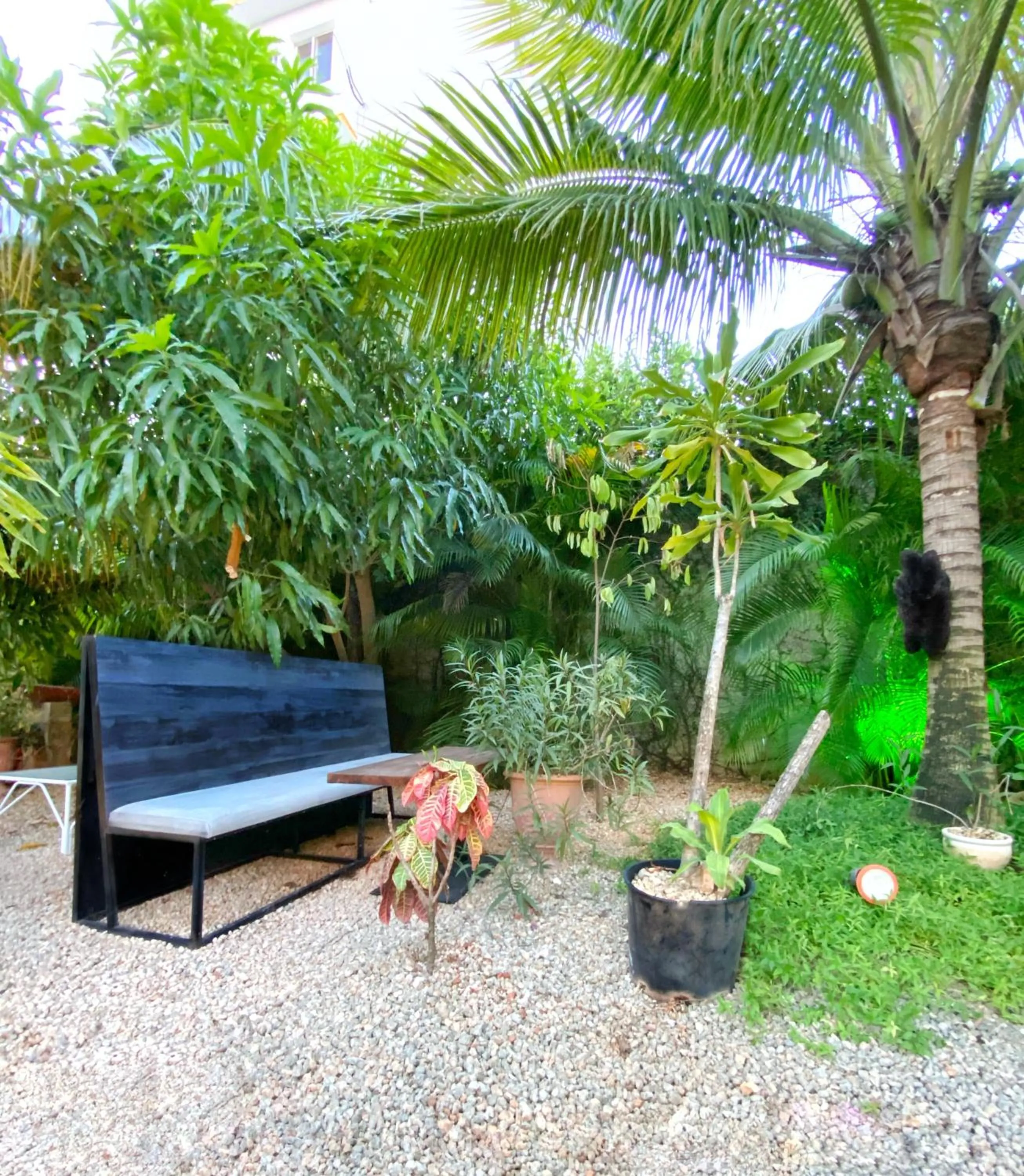 Patio in Green Oasis Hotel