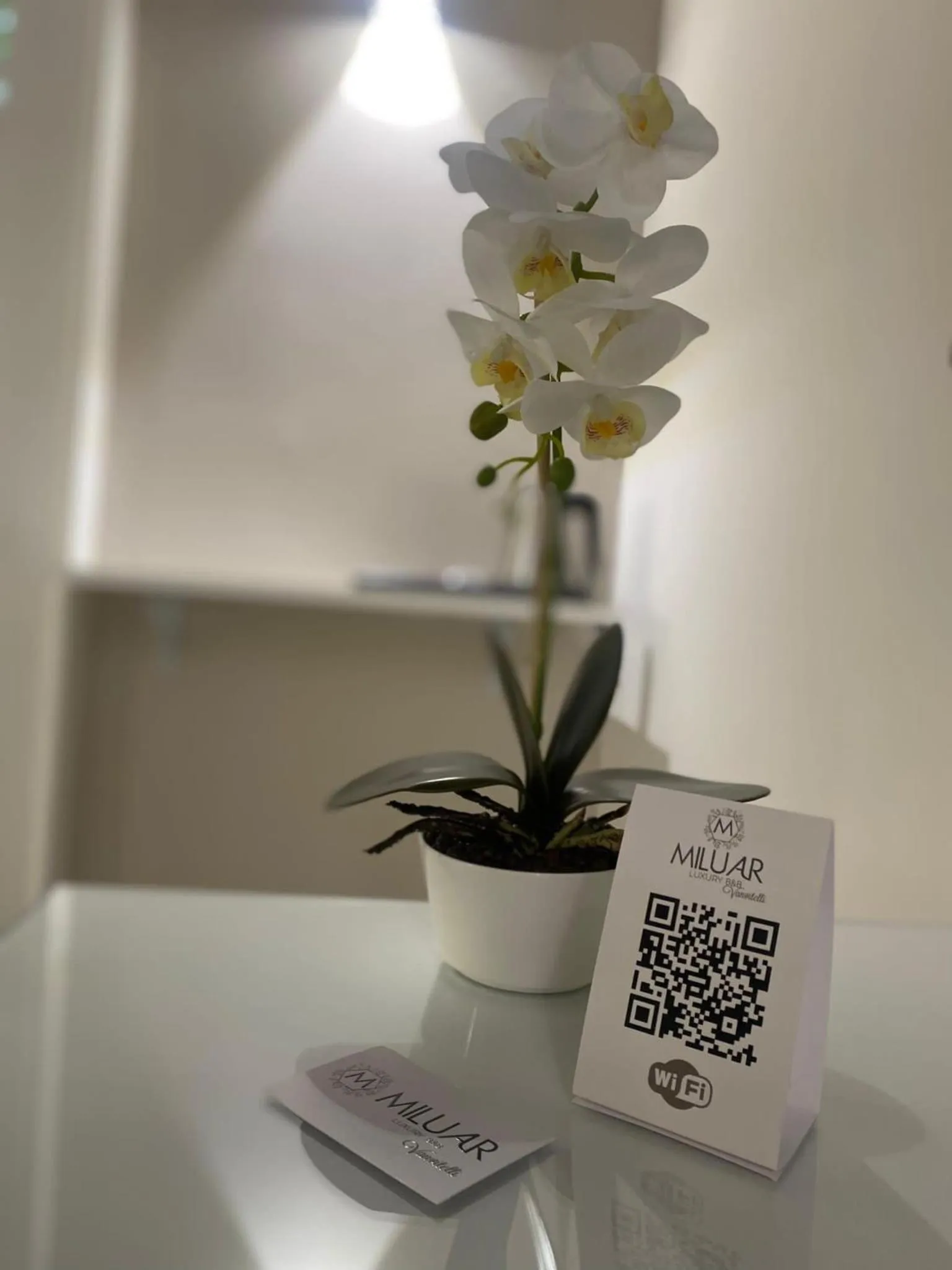 MILUAR Luxury B&B - Vanvitelli