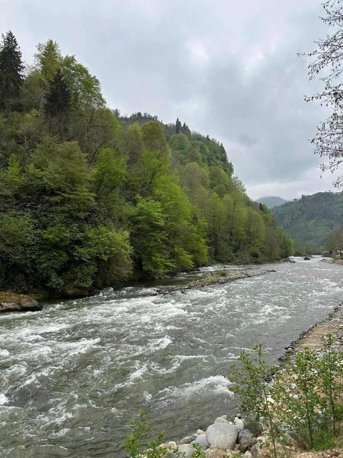 King Room with Lake View in Ria süit otel bungalov King Room with Lake View in Ria süit otel bungalov