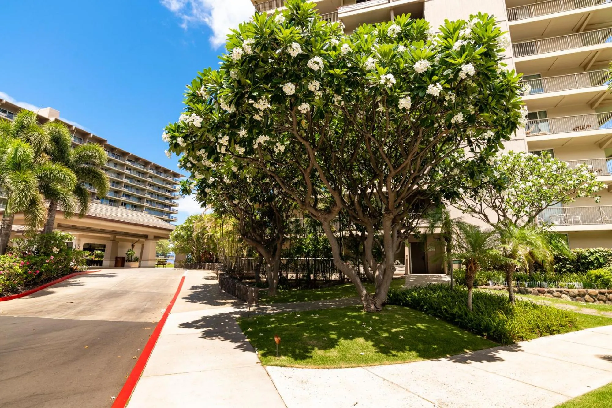 Facade/entrance in The Whaler Resort