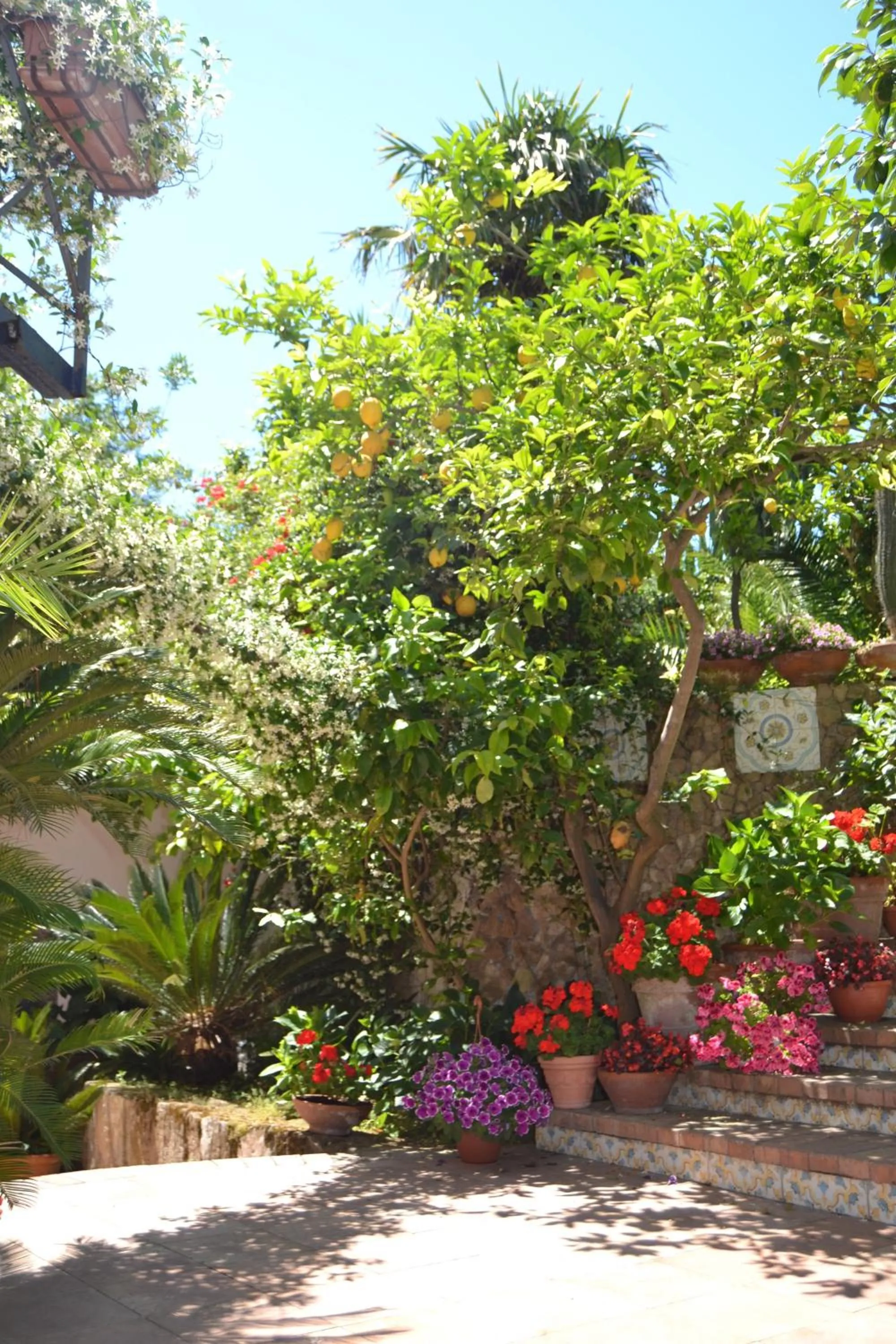 Garden in Piccolo Tirreno Hotel Residence